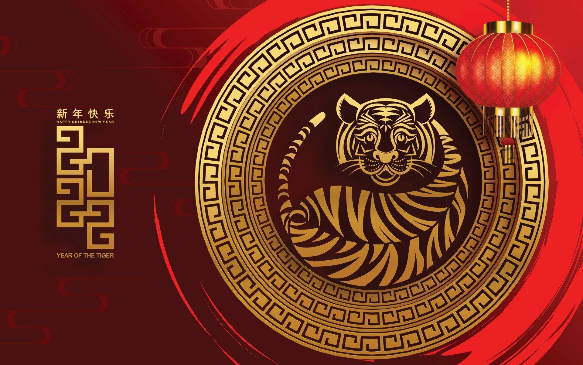 1920x1202 Year of the Tiger HD Wallpaper