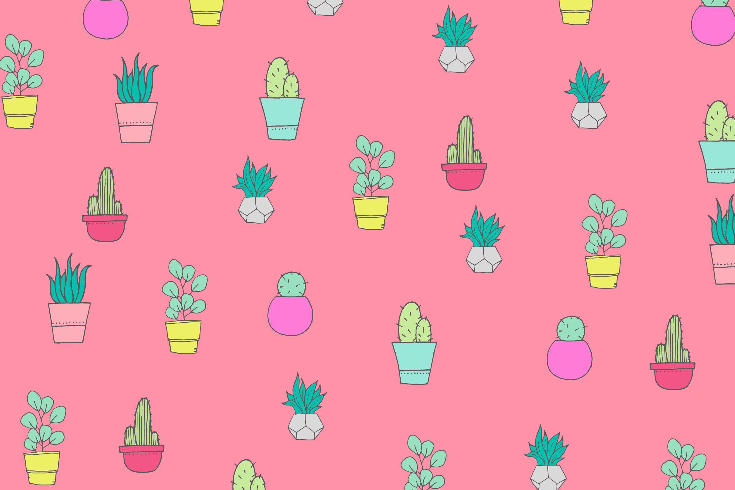 Pink Cactus Desktop Wallpapers - Top Free Pink Cactus Desktop