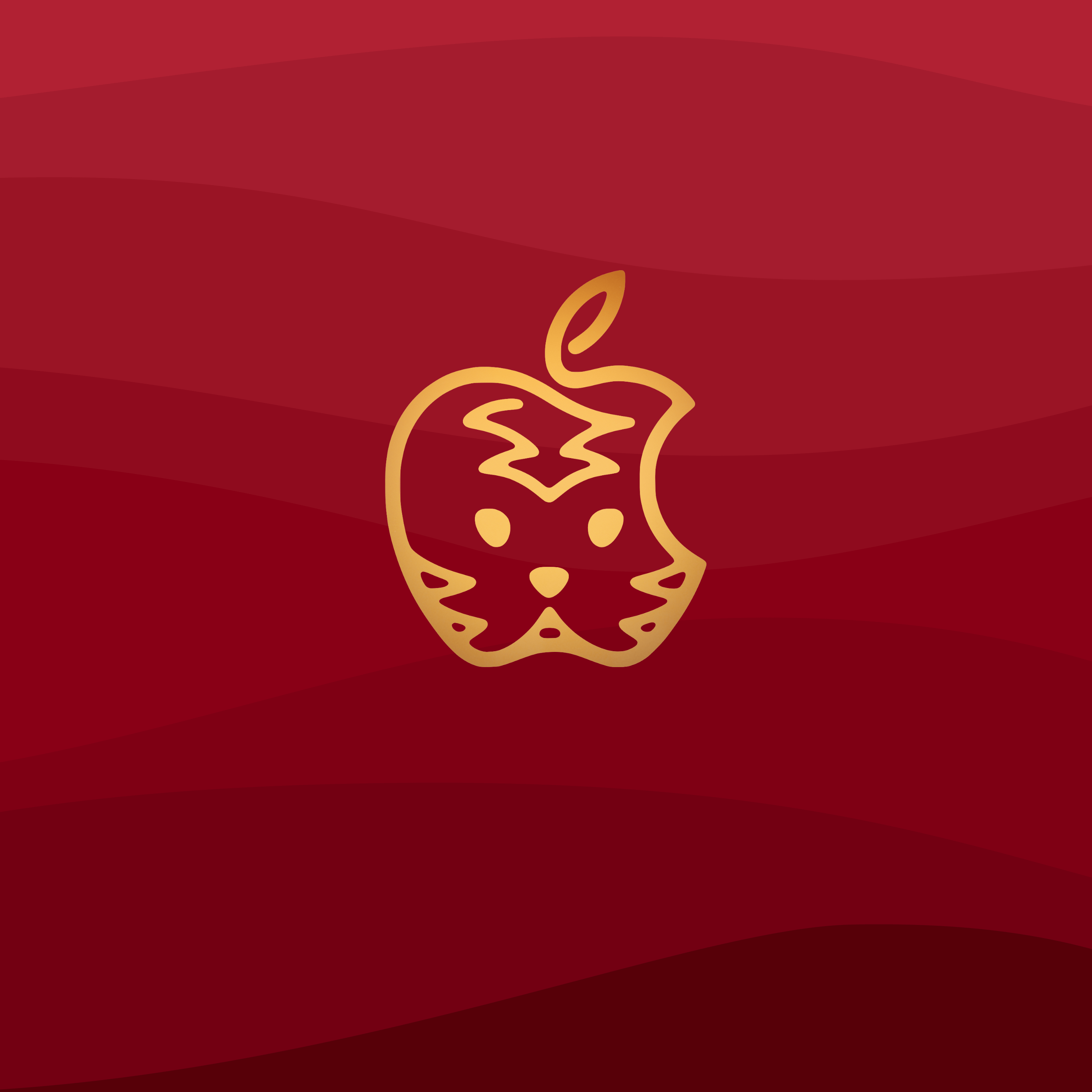 2732x2732 Year of the Tiger Apple Wallpaper