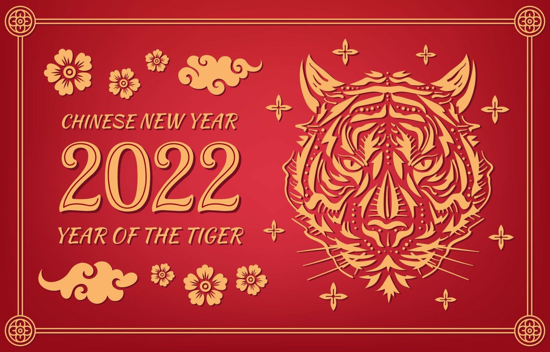 1920x1229 Year of the Tiger HD Wallpaper