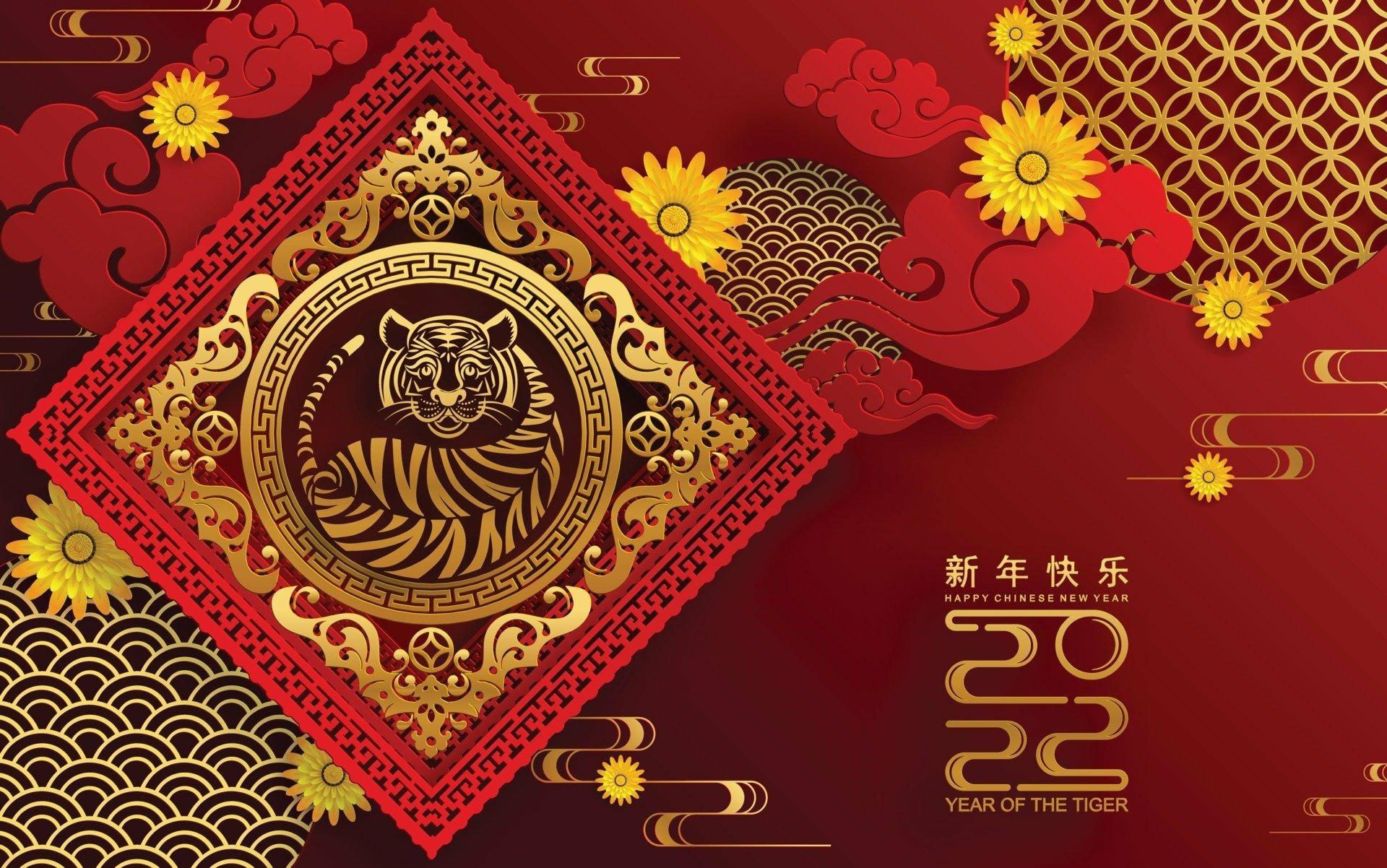 1920x1202 Year of the Tiger HD Wallpaper