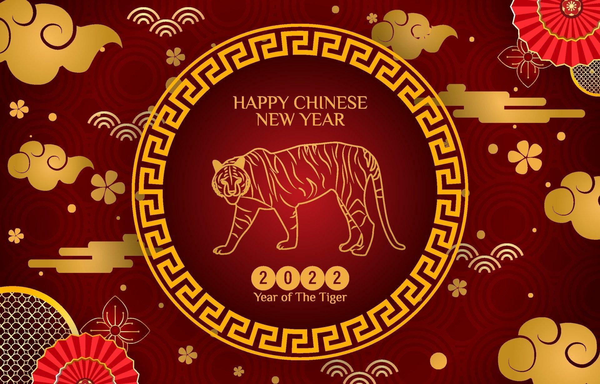 1920x1229 Year of the Tiger HD Wallpaper