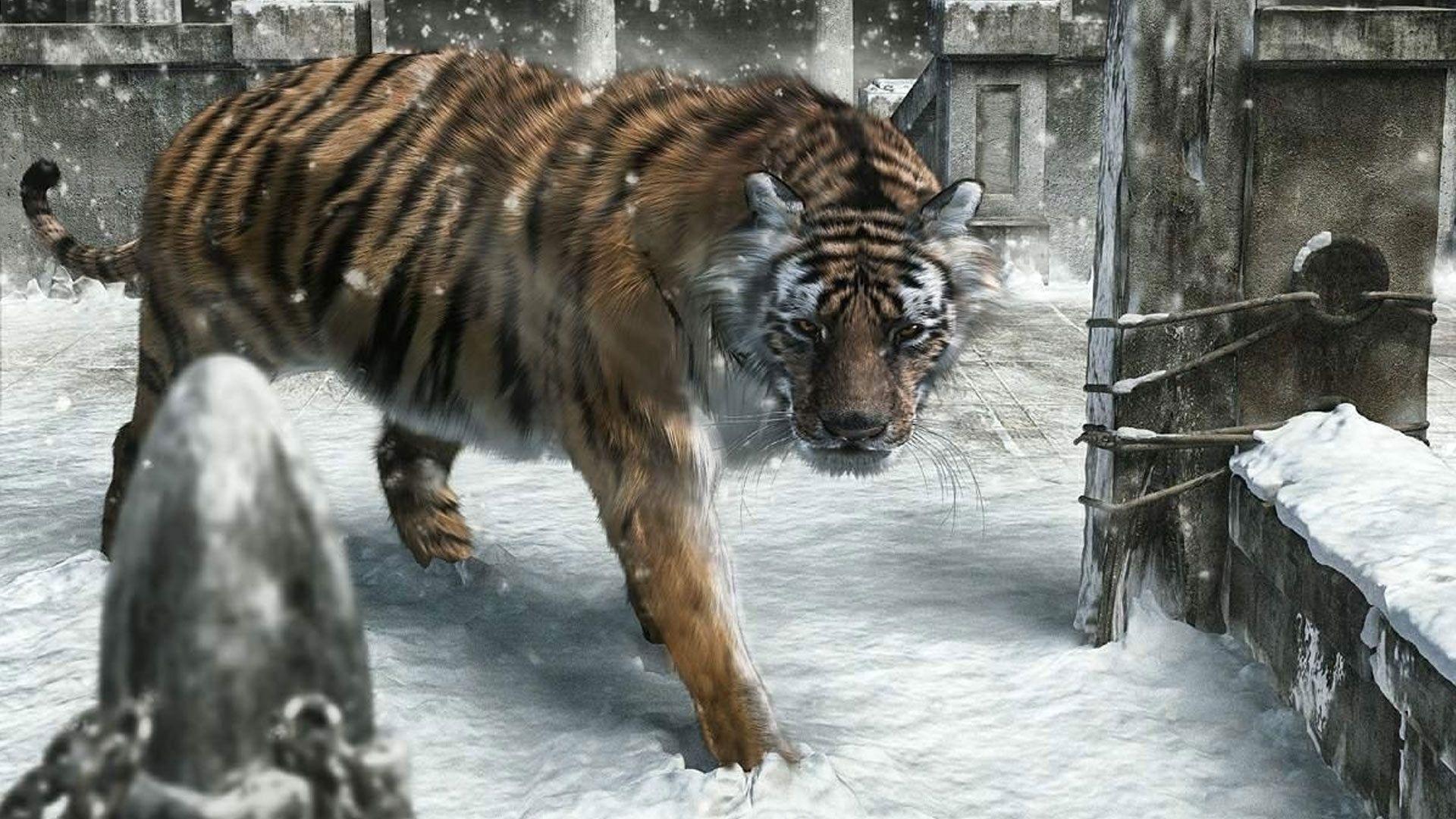 1920x1080 new year tiger poster picture. Animals, Snow tiger, Pet tiger