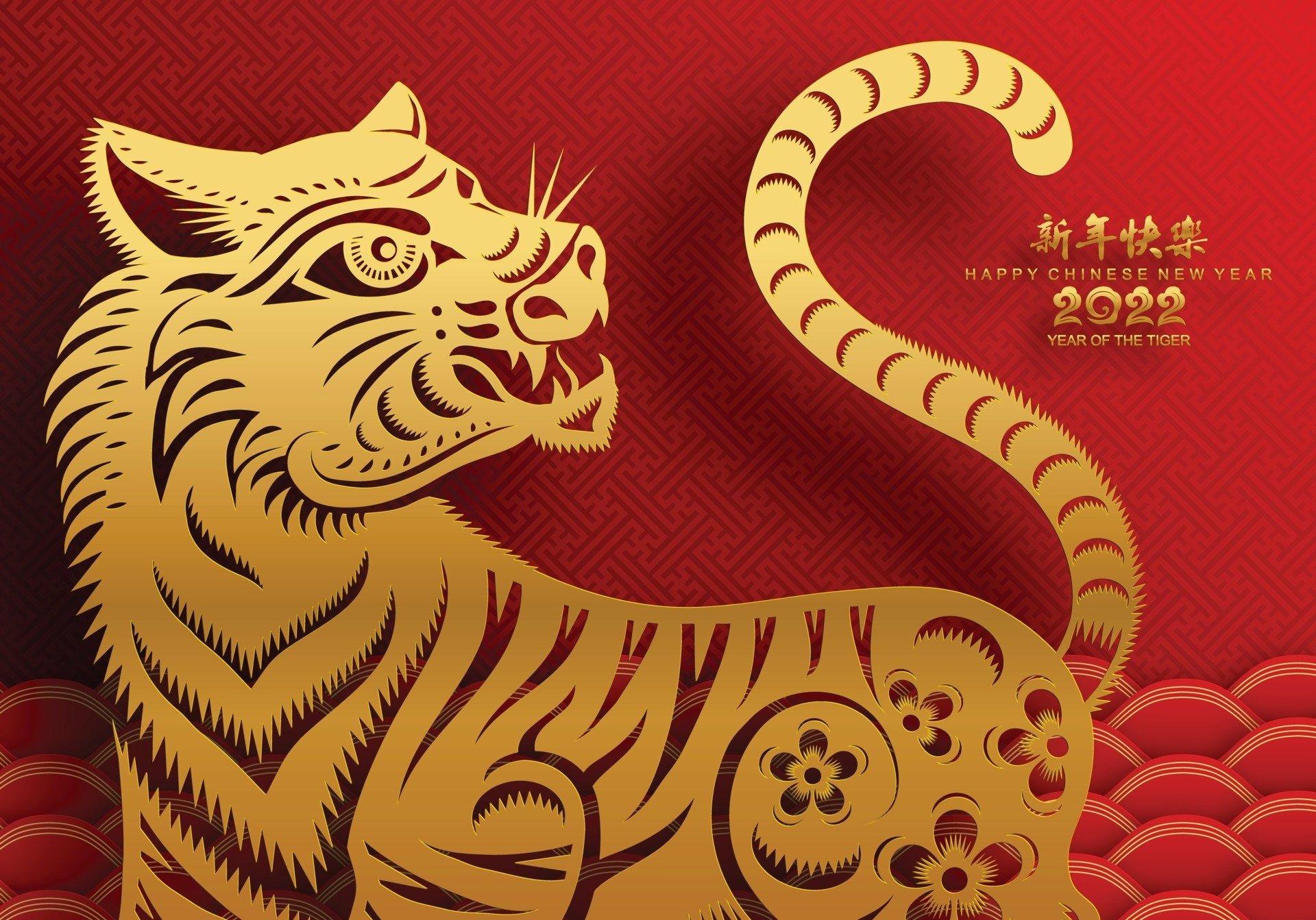 1920x1343 Year of the Tiger HD Wallpaper
