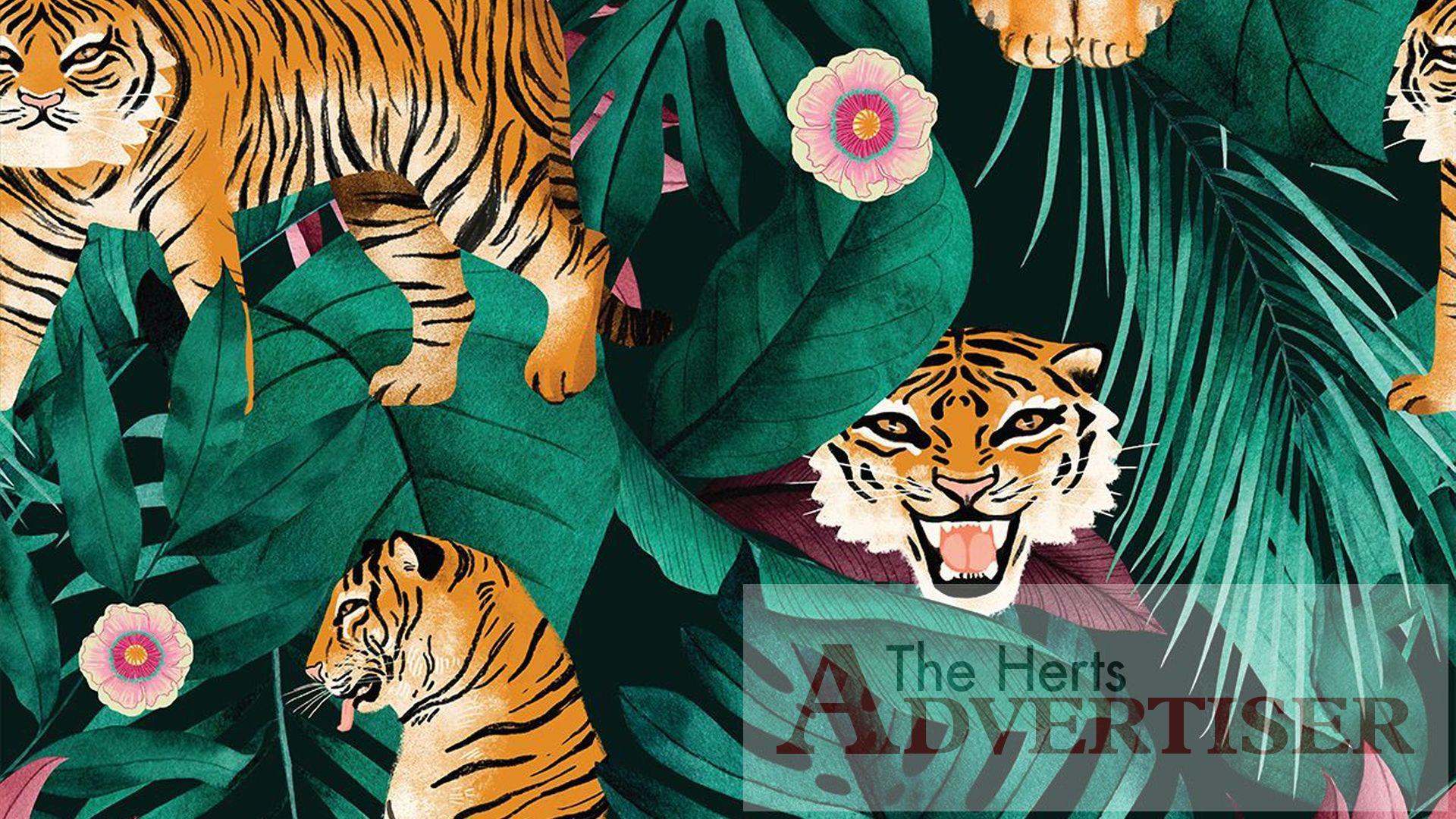 1920x1080 Where can I find tiger interiors this Chinese New Year?