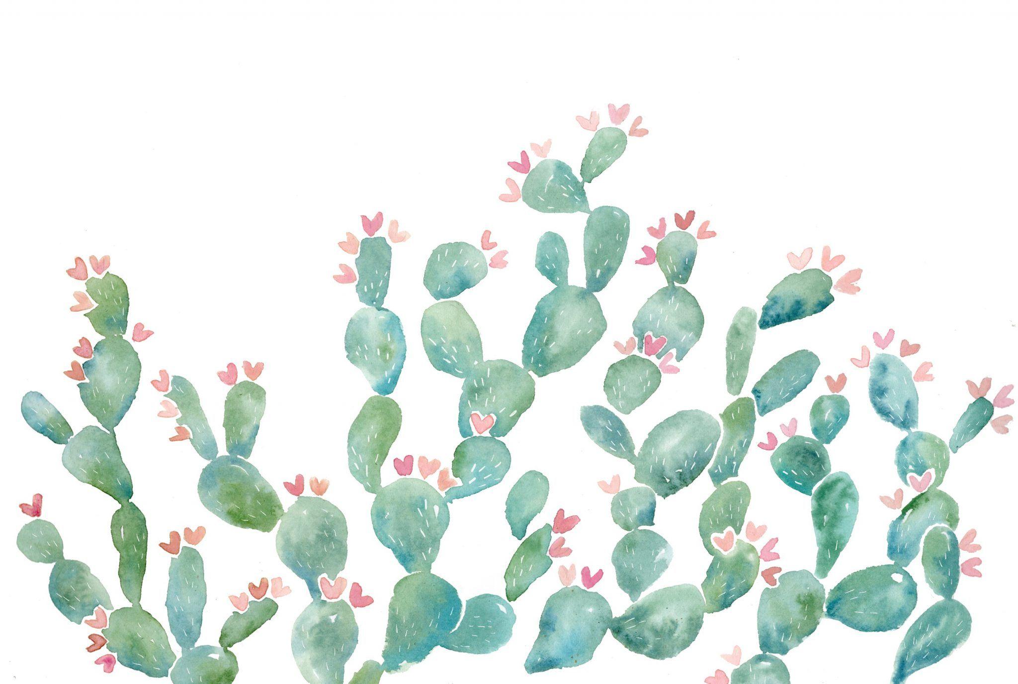Cactus Desktop Wallpapers - Top Free Cactus Desktop Backgrounds ...