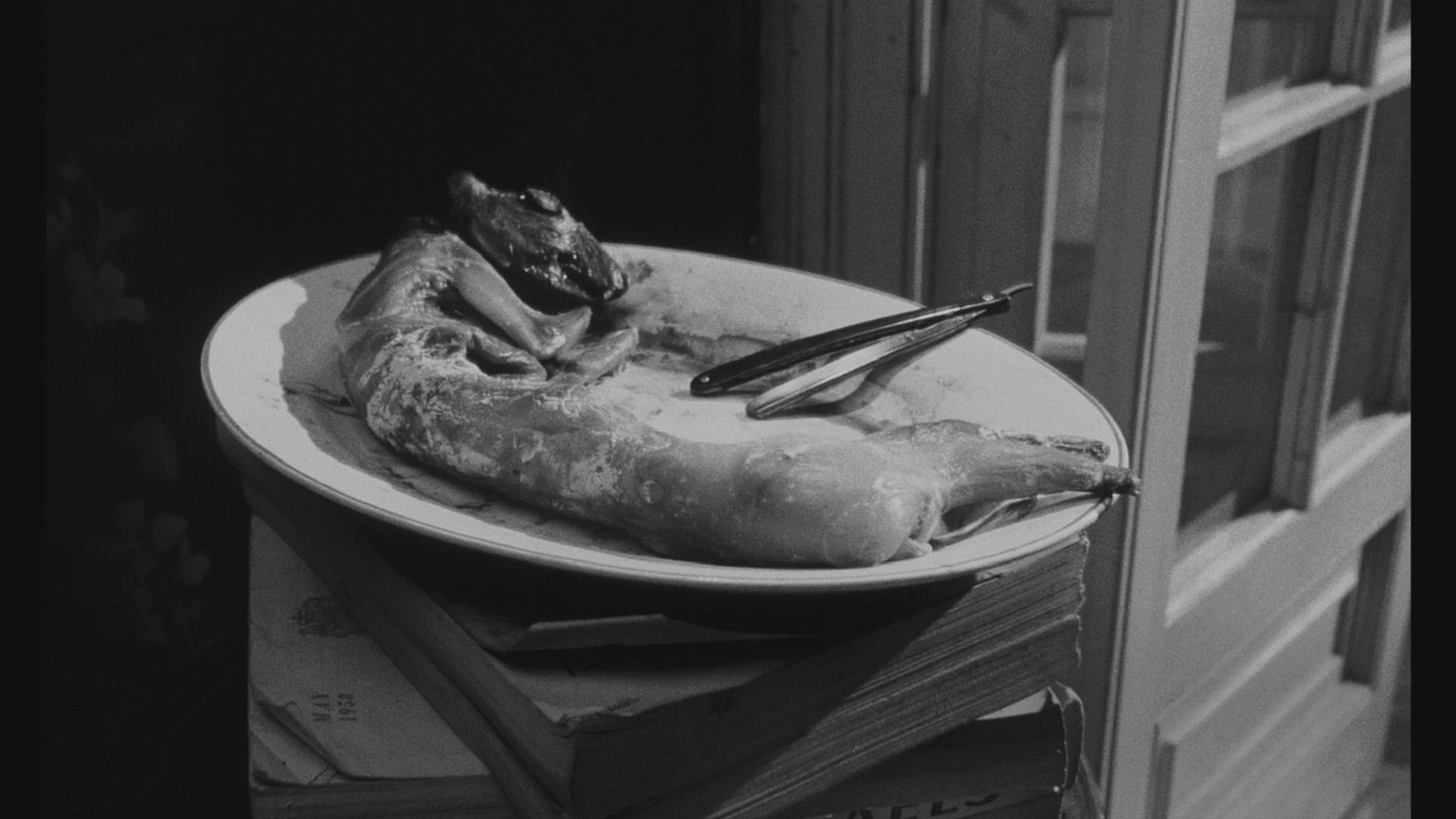 Roman Polanski Wallpapers - Top Free Roman Polanski Backgrounds