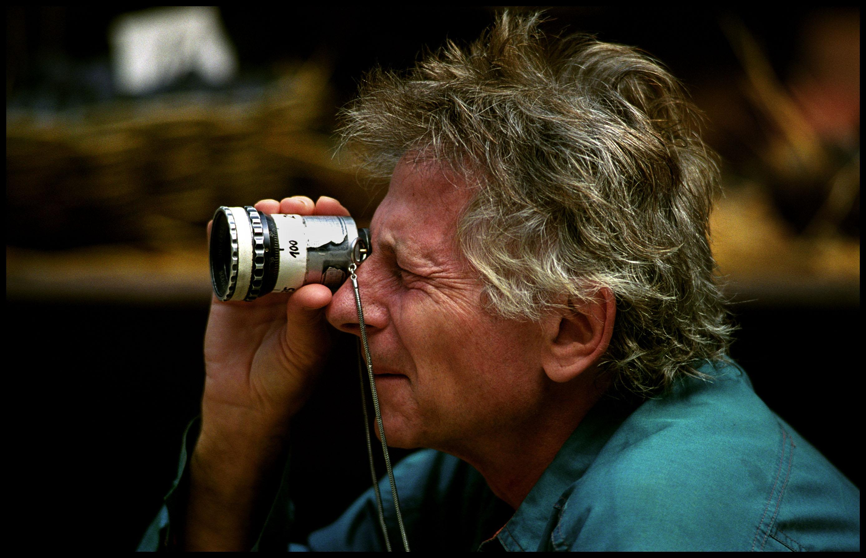 2774x1787 Roman Polanski Doesn't See Netflix As A Basic Threat For Cinema