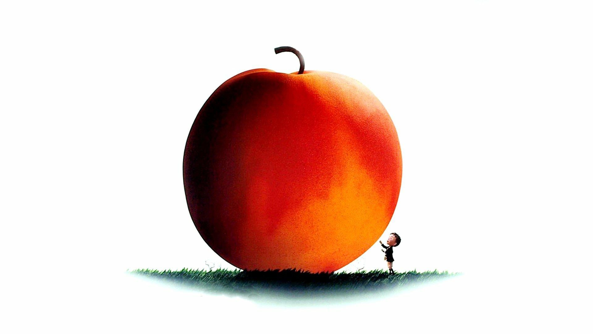 1920x1080 James And The Giant Peach HD Wallpaper