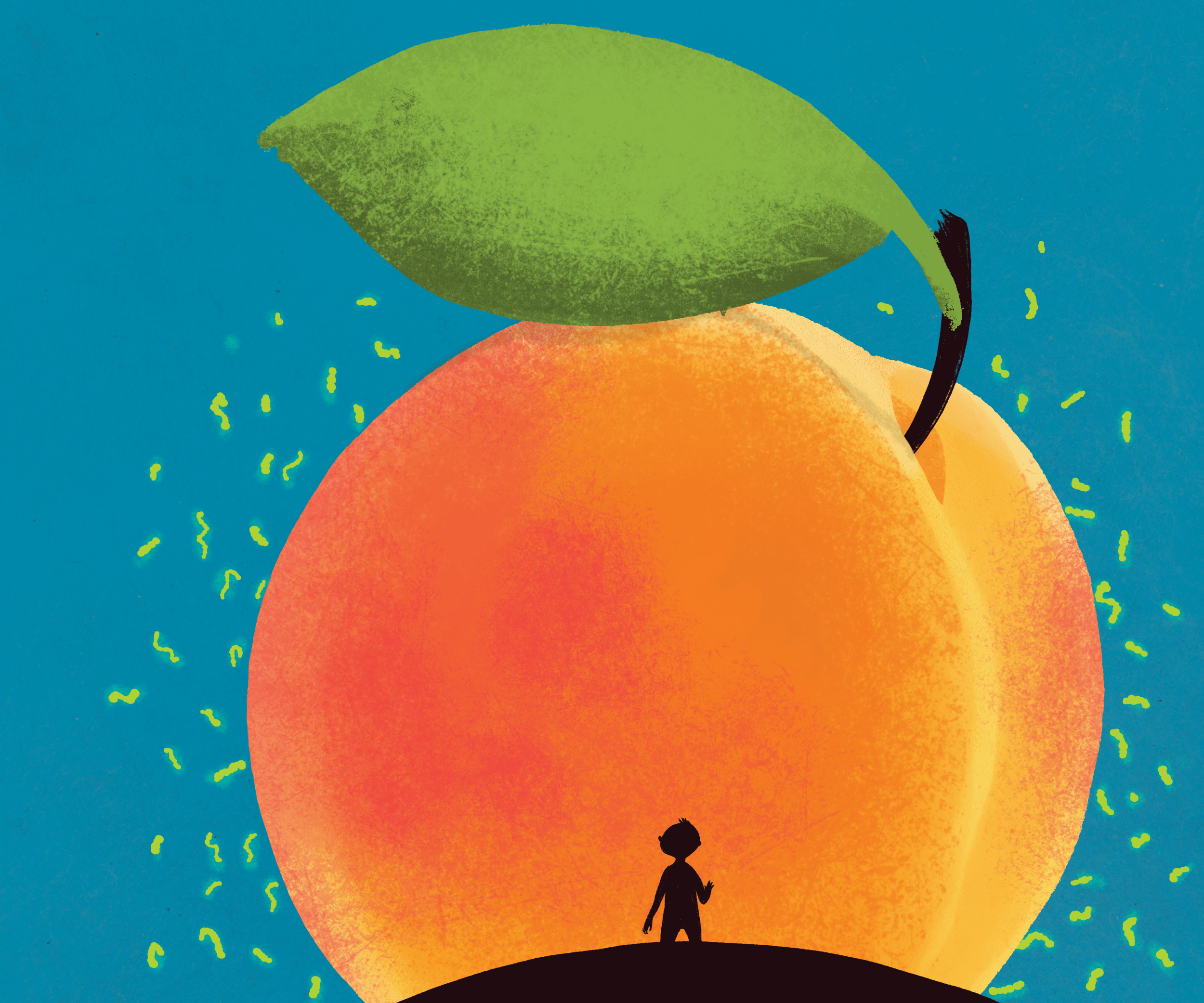 2500x2083 James & The Giant Peach