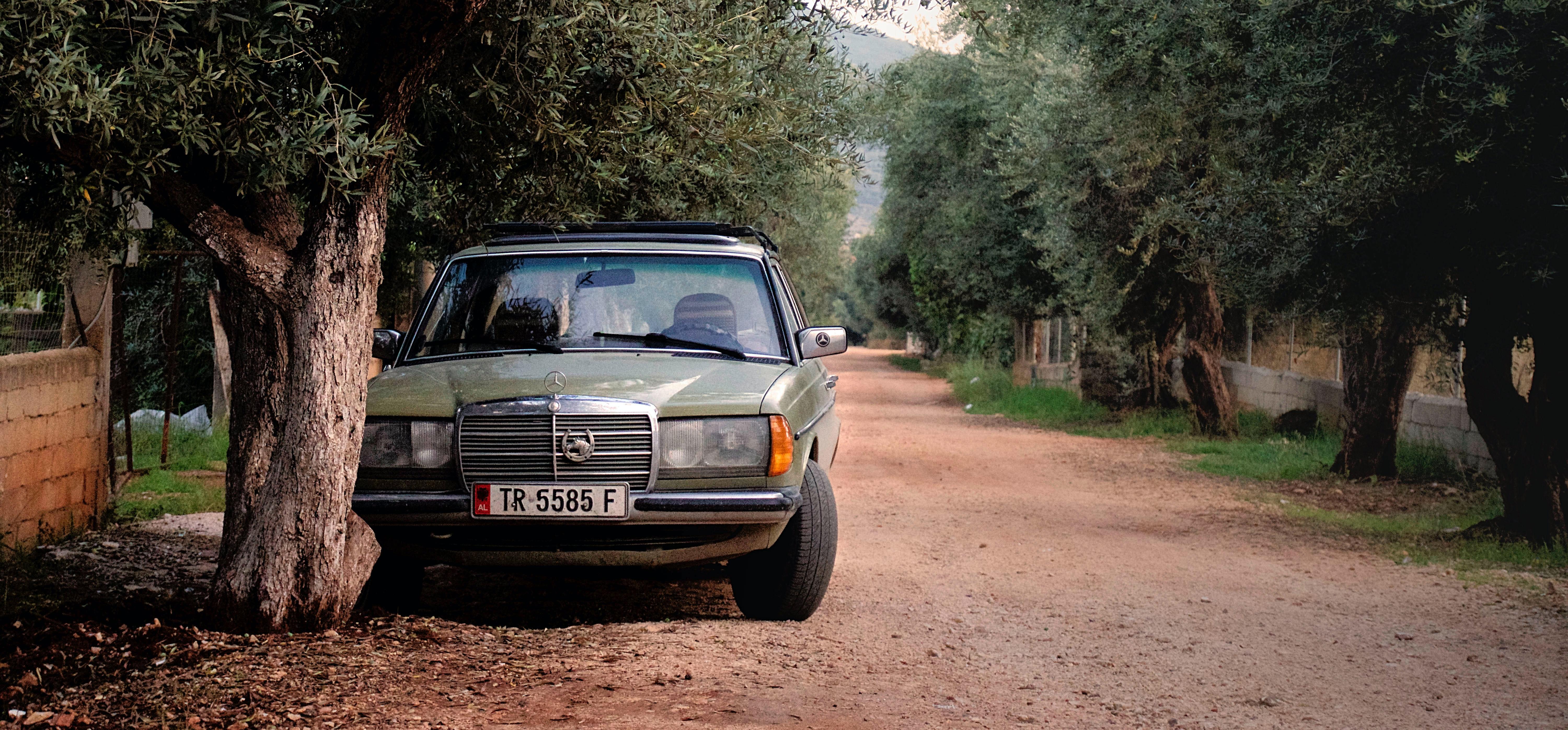 6000x2794 Green Mercedes Benz W123 Parked Near Tree · Free