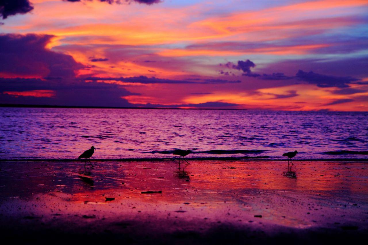 1280x853 beach wallpaper tumblr, sky, horizon, afterglow, nature, sunset