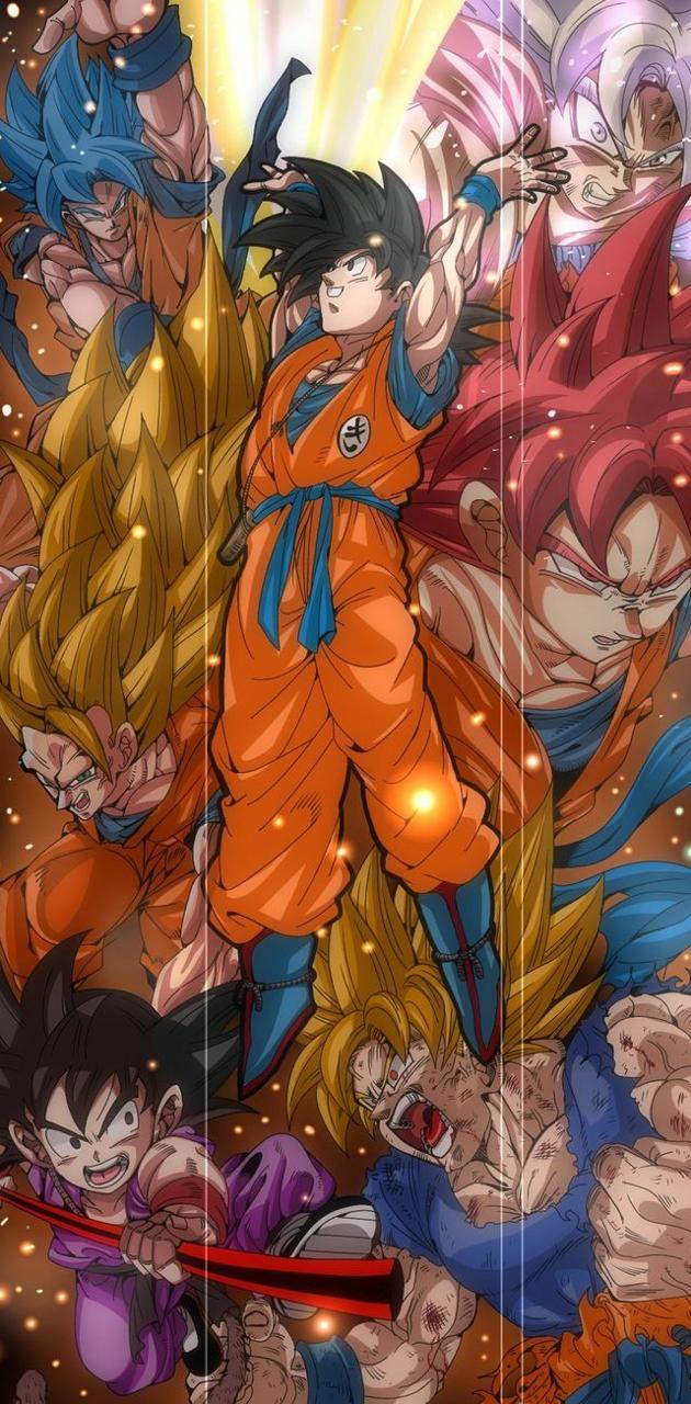 Goku Forms Wallpapers - Top Free Goku Forms Backgrounds - WallpaperAccess