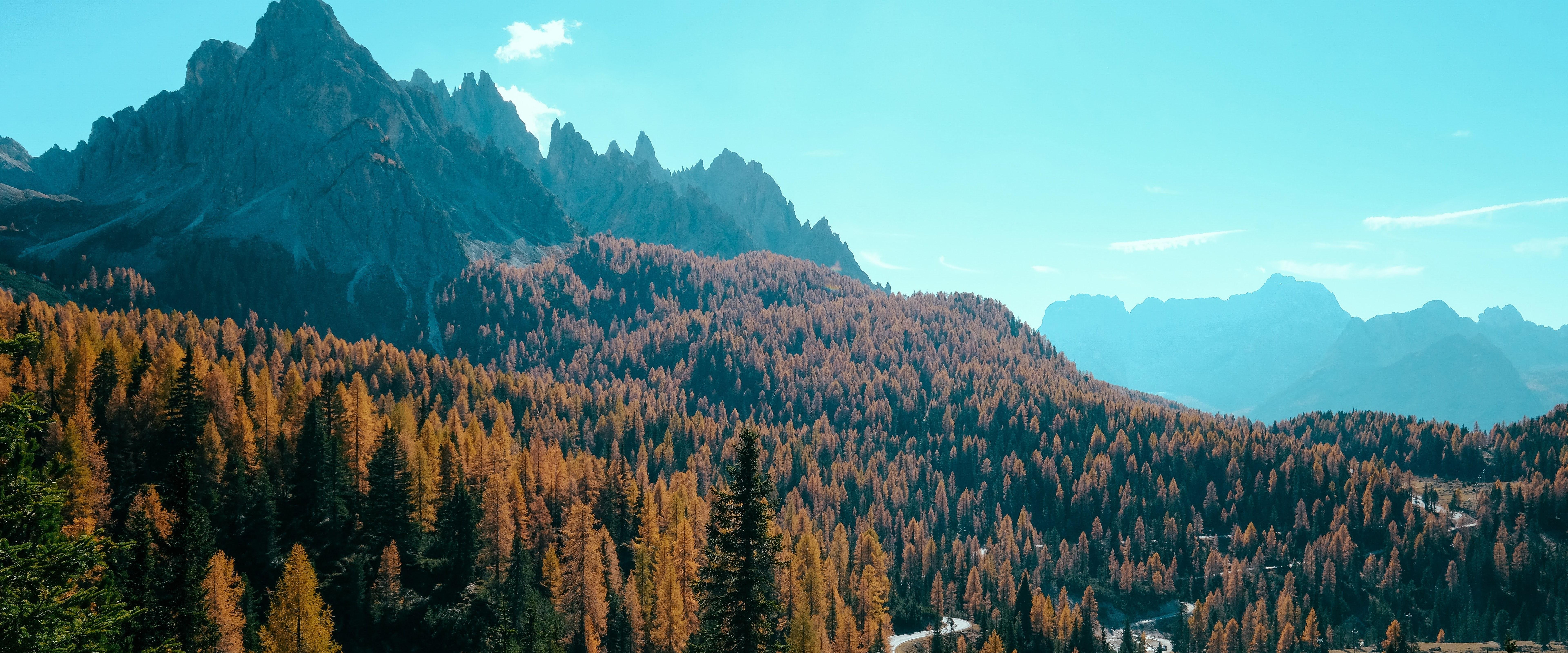 7680x3200 Forest Autumn Mountain Forest 8K Wallpaper