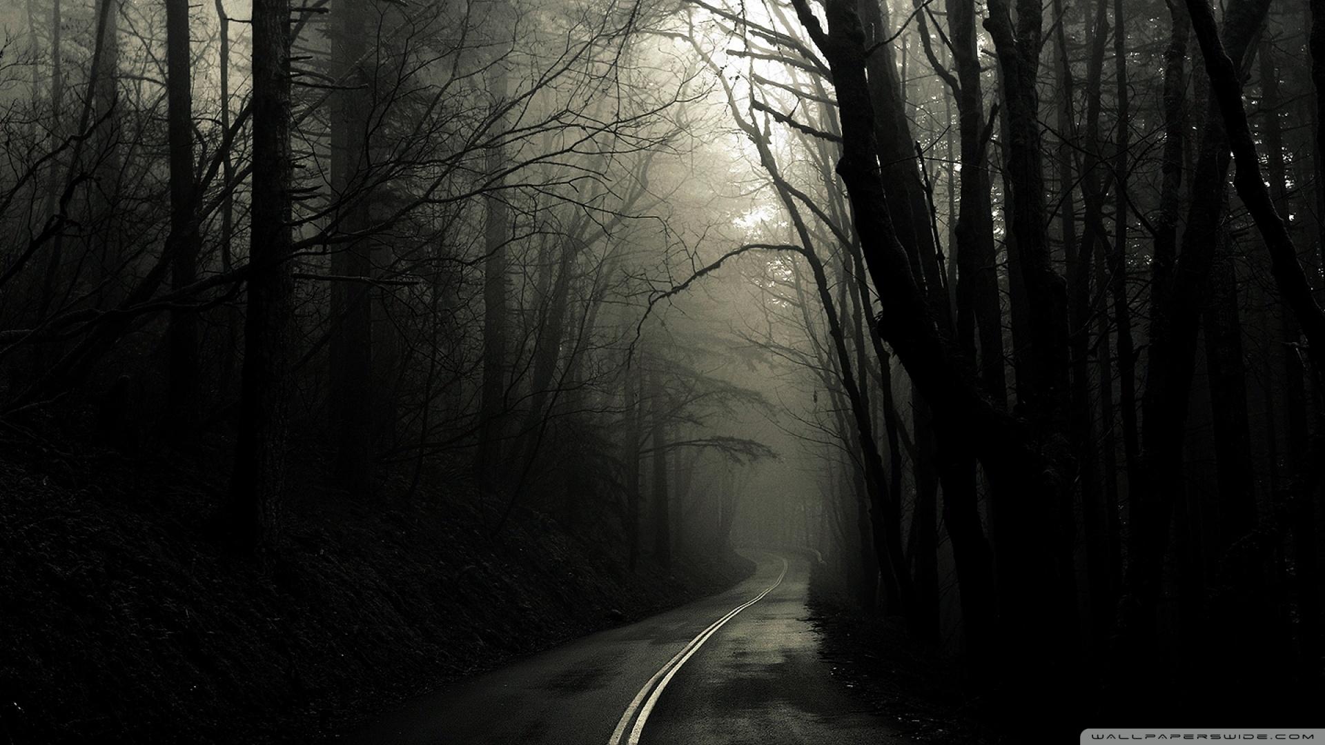 1920x1080 Dark Road Forest Ultra HD Wallpaper for 4K UHD Widescreen desktop, tablet & smartphone