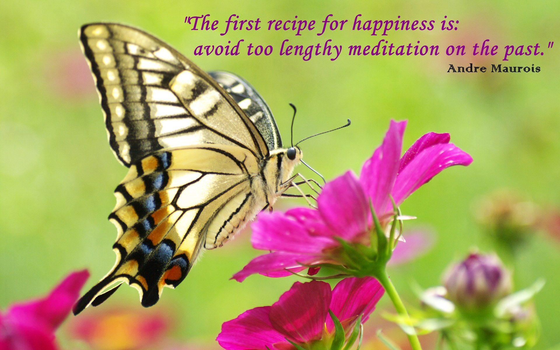 1920x1200 Meditation Past Quotes Wallpaper 10774