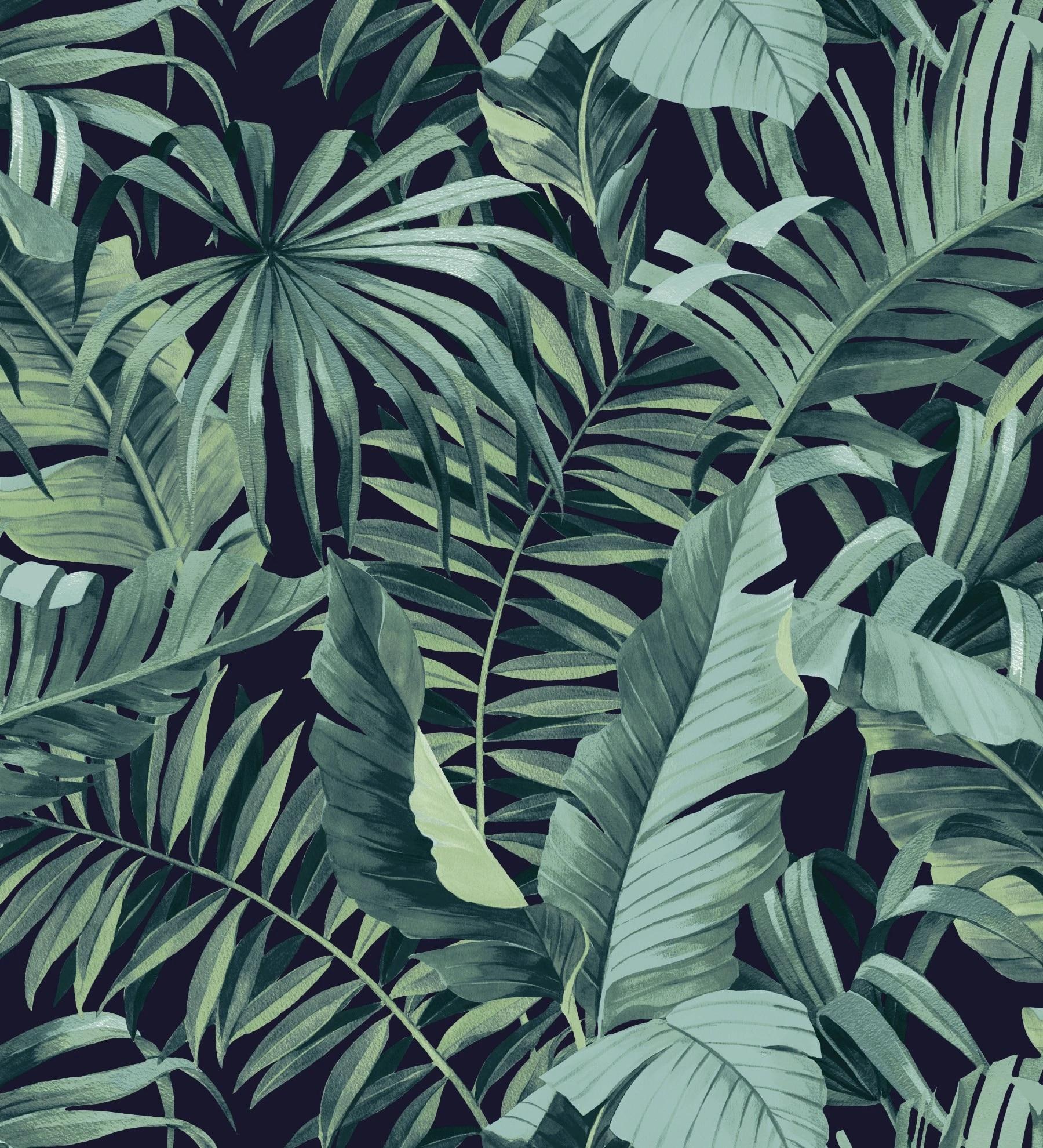 1800x1980 Wallpaper Tropical Leaf Leaves Black And Green