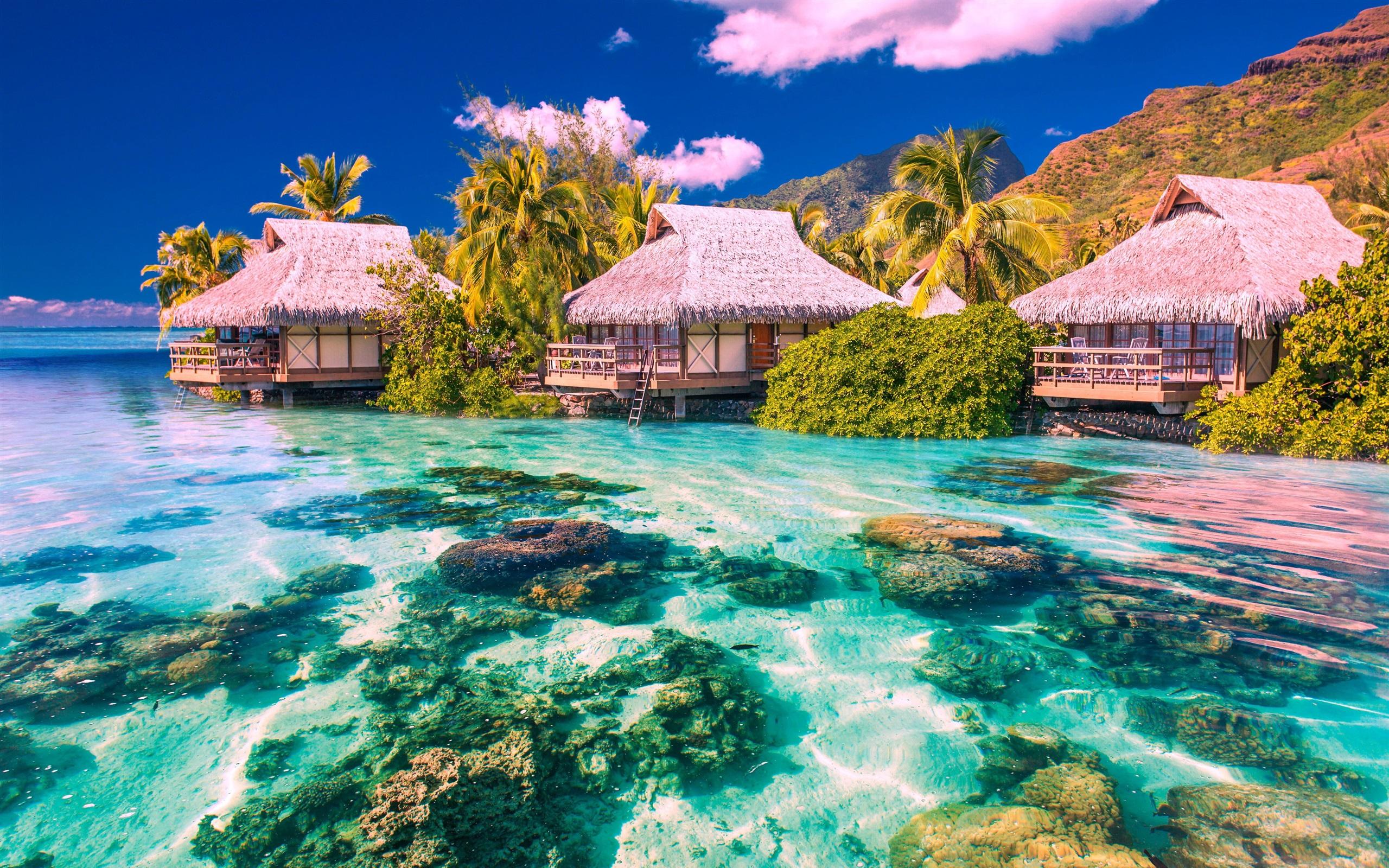 2560x1600 Wallpaper Tropical landscape, palm trees, houses, sea, beach, stones 3840x2160 UHD 4K Picture, Image