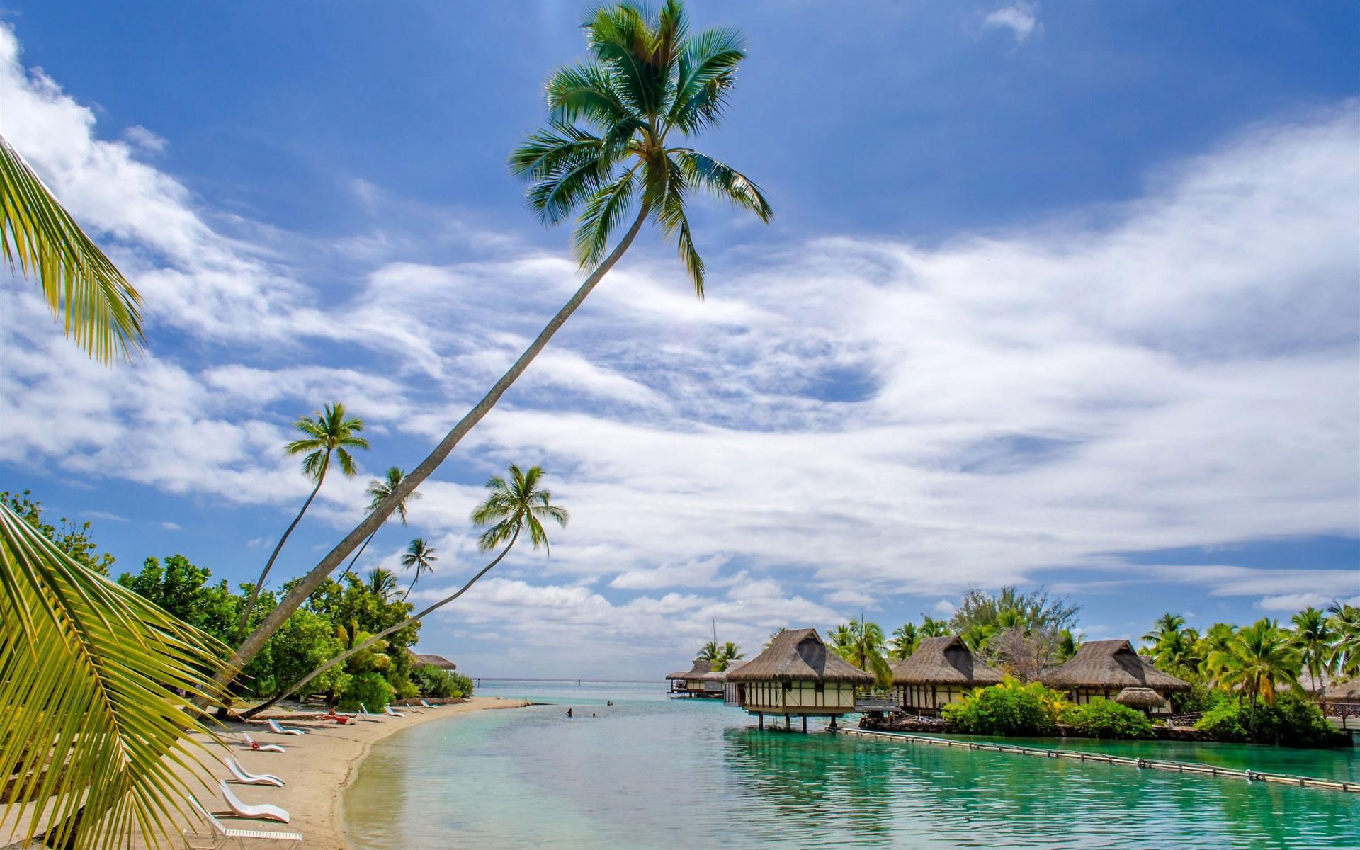1920x1200 Beach Wallpaper, Sea, Resort, House, Palm Trees, Tropical • Wallpaper For You