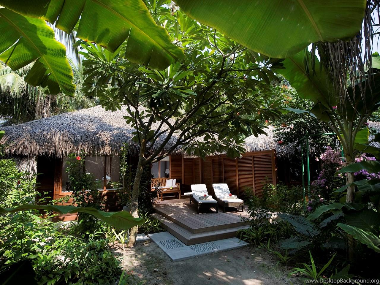 1280x960 House Buildings Tropical Jungle 4K Ultra HD Sublime Wallpaper Free. Desktop Background