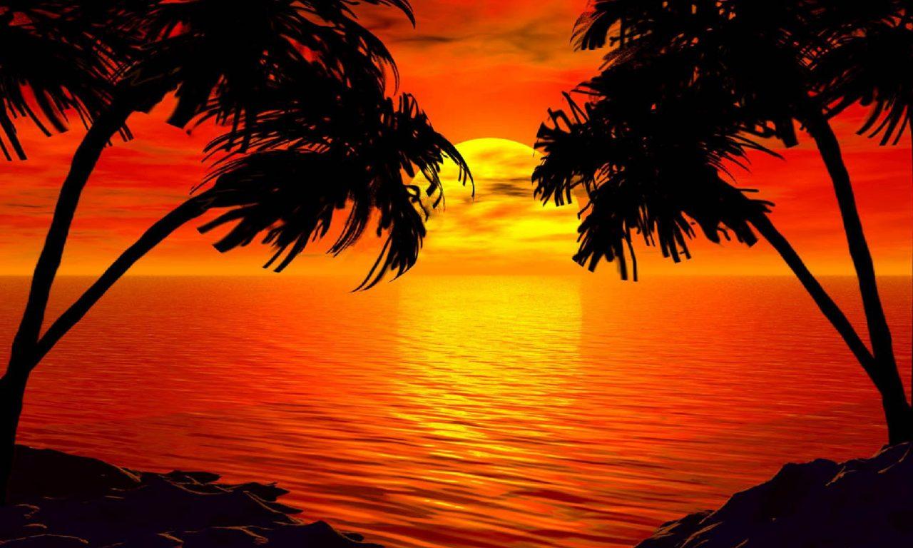 1280x768 Paradise Sunset Tropical Island Palm Sea Red Sky HD Wallpaper 2560x1600 :