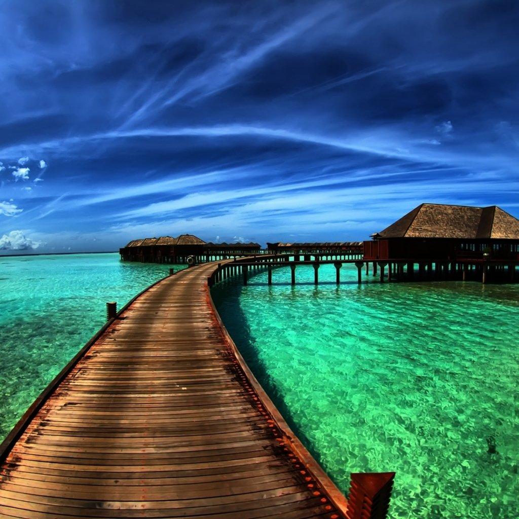 1024x1024 Photography Tropical