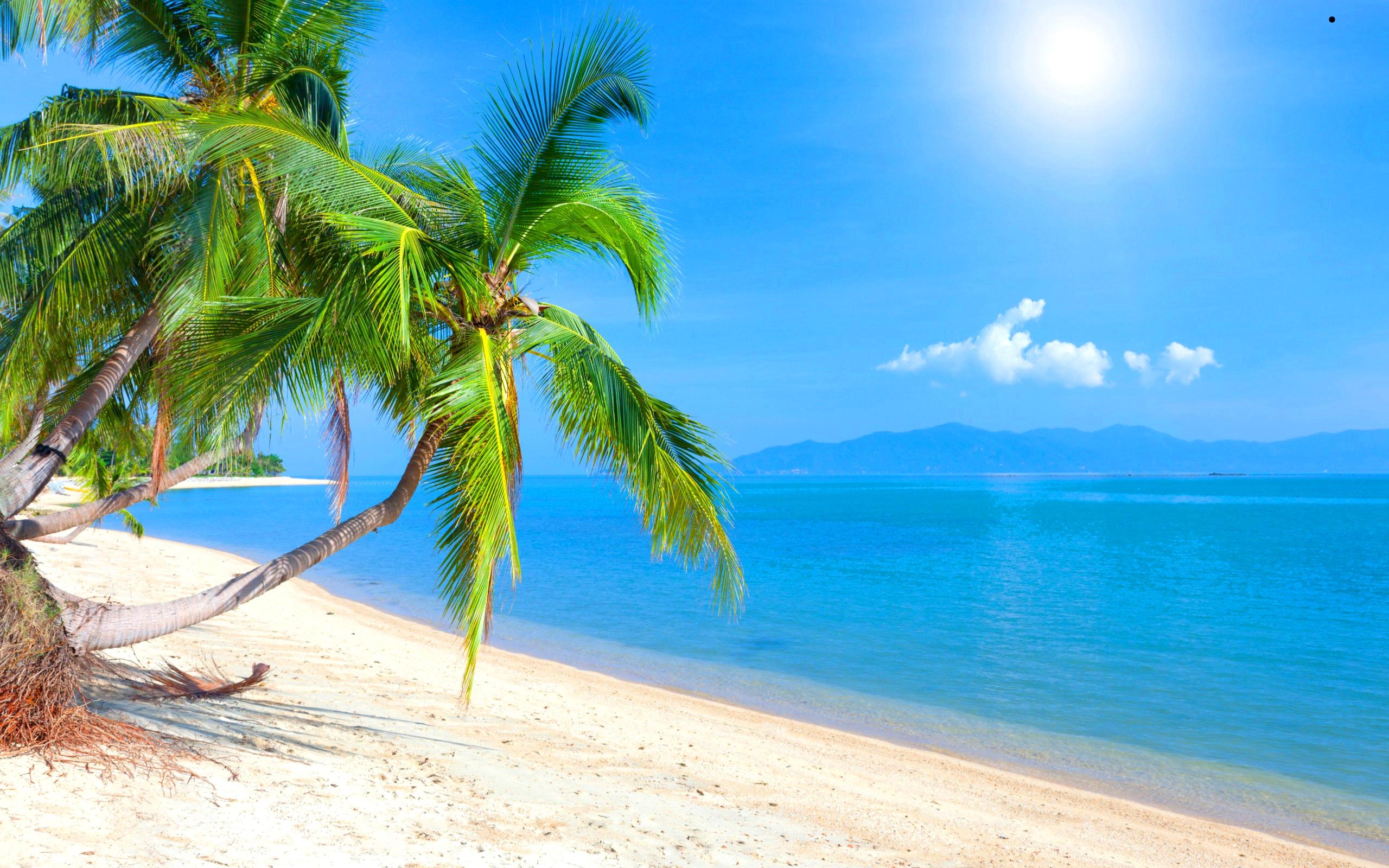 2560x1600 Download Latest HD Wallpaper of, Photography, Tropical