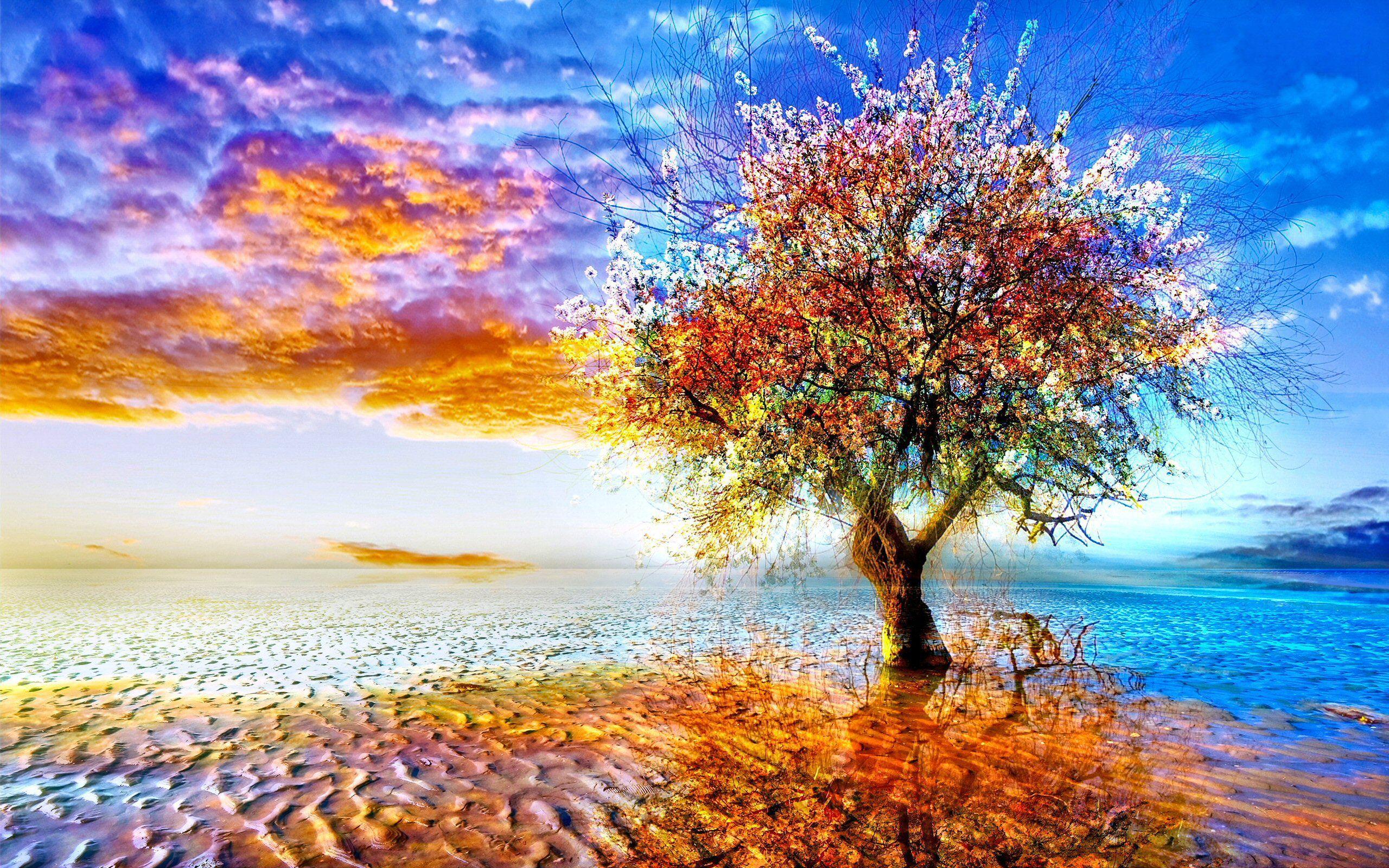 2560x1600 Tree Wallpaper