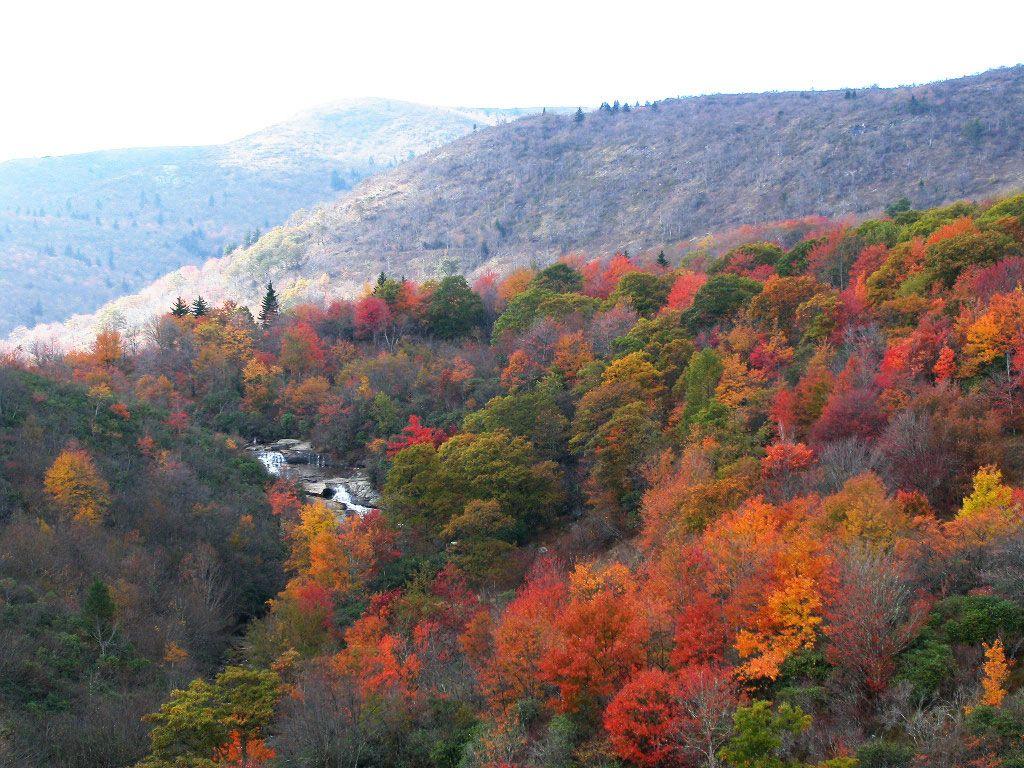 1024x768 Blue Ridge Mountains Wallpaper. Mountain wallpaper, Blue ridge parkway fall, Blue ridge mountains