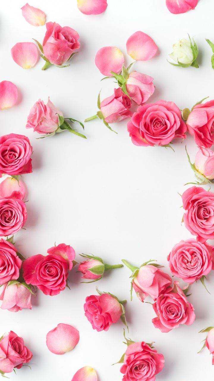 720x1280 Flowers Wallpaper