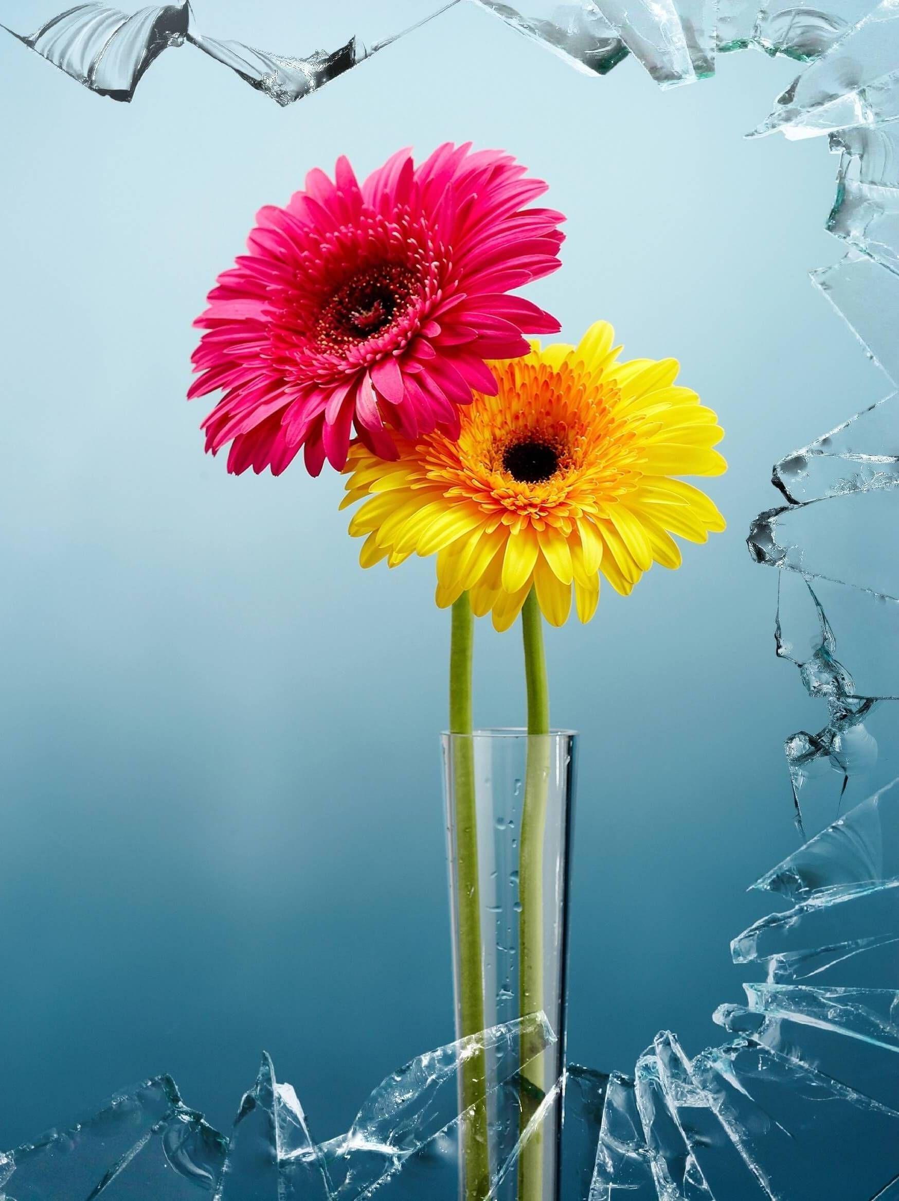 1748x2334 Beautiful Flowers Wallpaper, HD Beautiful Flowers Background on WallpaperBat