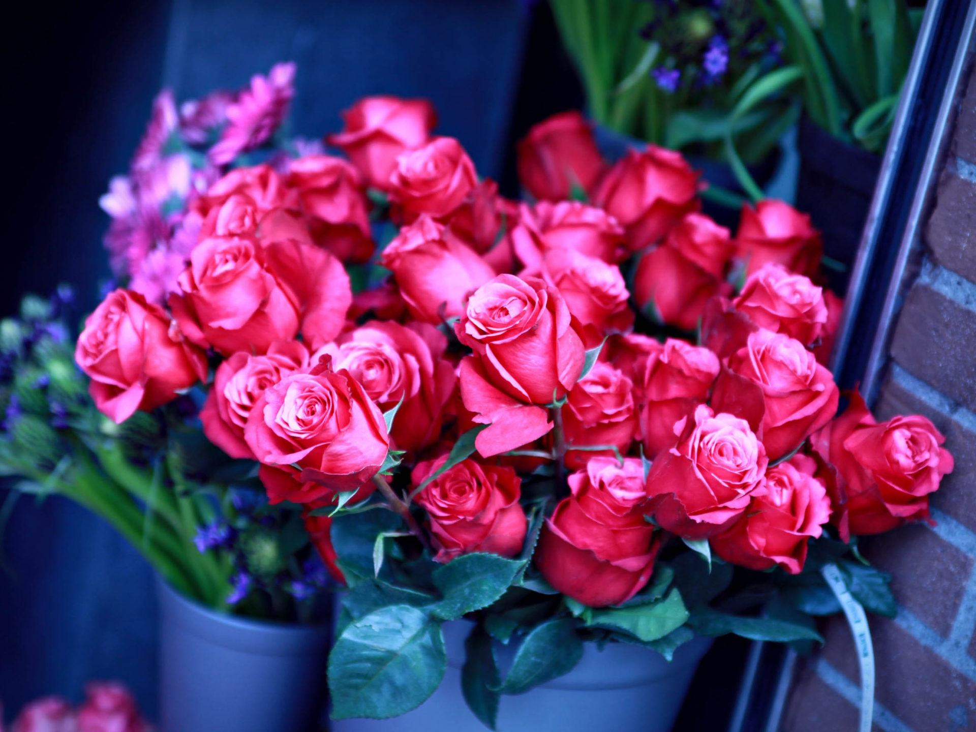 1920x1440 Red Roses Bouquet Beautiful Flowers Wallpaper For Desktop Background :