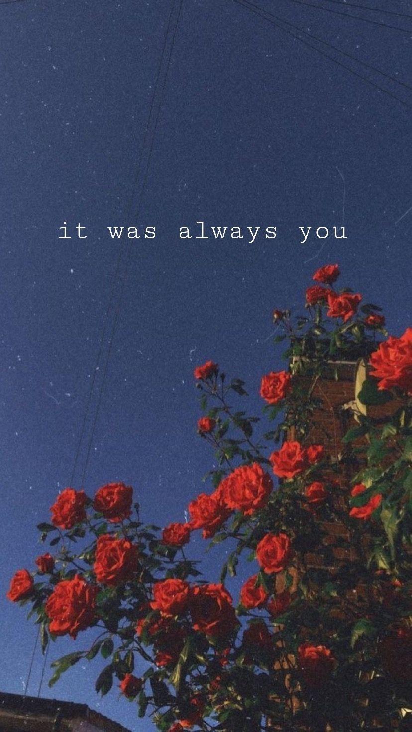 828x1472 Love Aesthetics HD Wallpaper