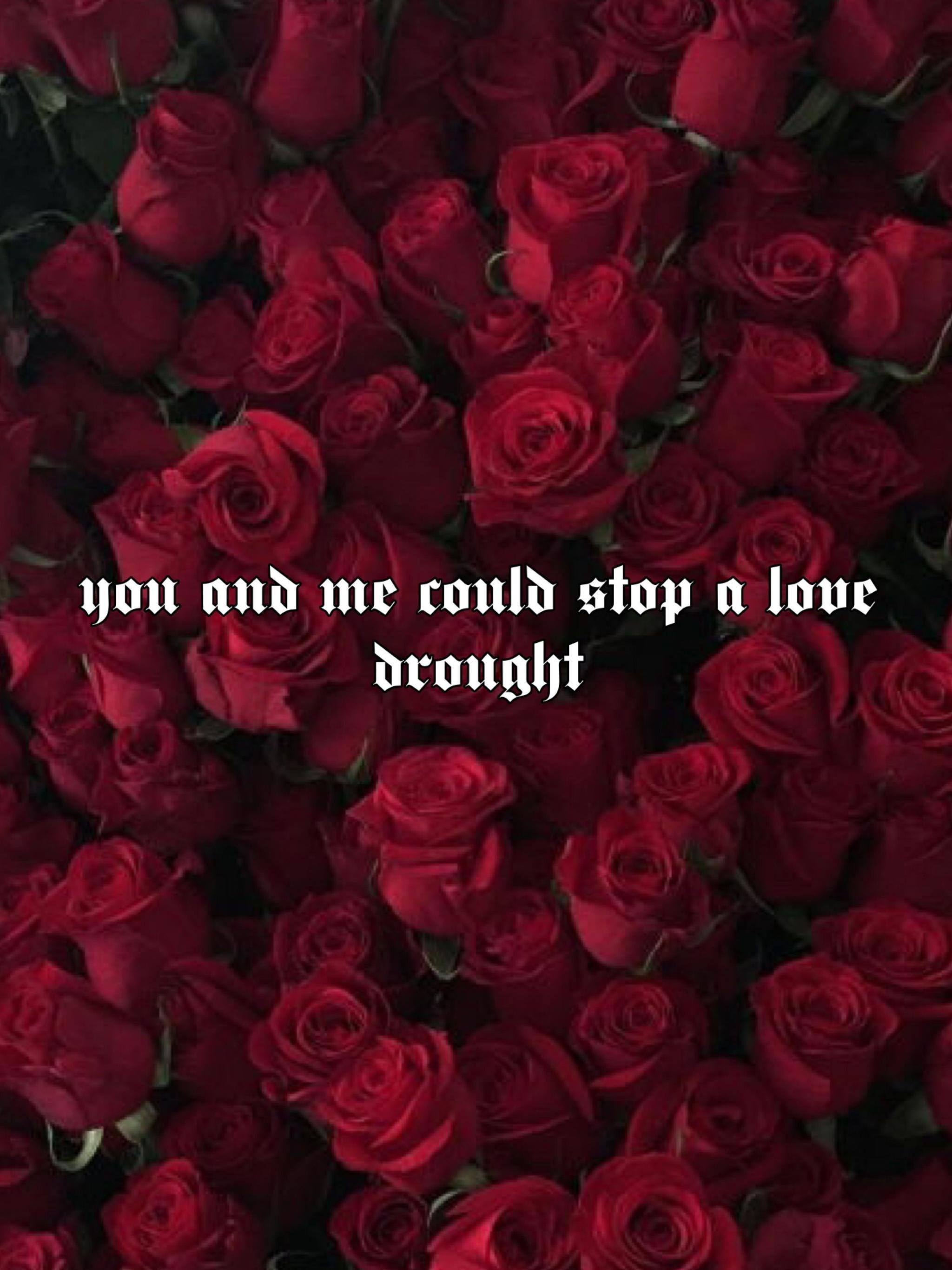 2048x2732 Free download Love iPhone Aesthetic Rose Wallpaper [2484x3888] for your Desktop, Mobile & Tablet. Explore Red Roses Aesthetic Wallpaper. Red Roses Aesthetic Wallpaper, Red Aesthetic Wallpaper, Wallpaper Red Roses