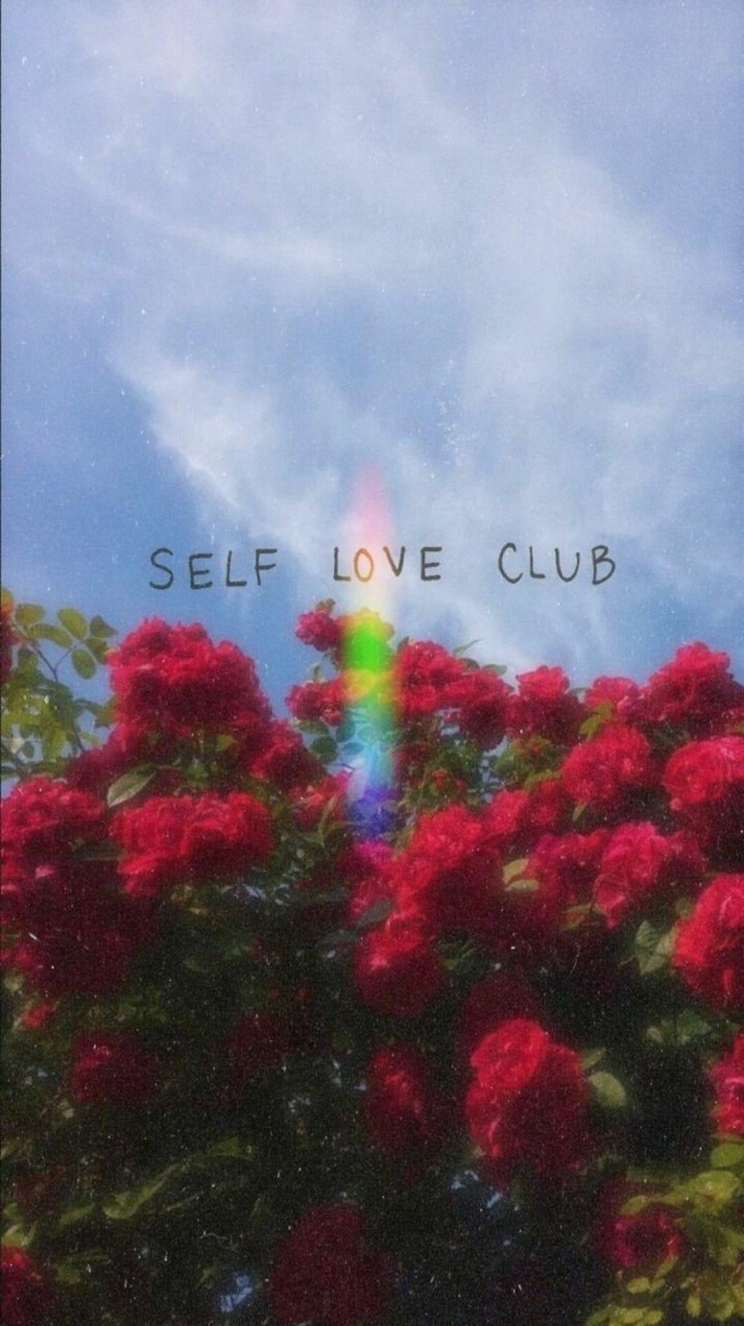 1080x1923 Aesthetic Quotes Tumblr, iPhone, Desktop HD Background / Wallpaper (1080p, 4k) HD Wallpaper (Desktop Background / Android / iPhone) (1080p, 4k) (1080x1923) (2022)