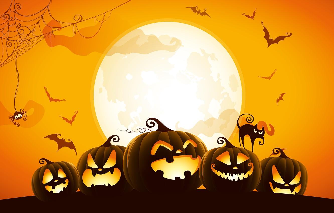 1332x850 Wallpaper spider, Halloween, moon, cat, orange, holiday, digital art, bats, pumpkins, black cat, spooky, spider web image for desktop, section праздники