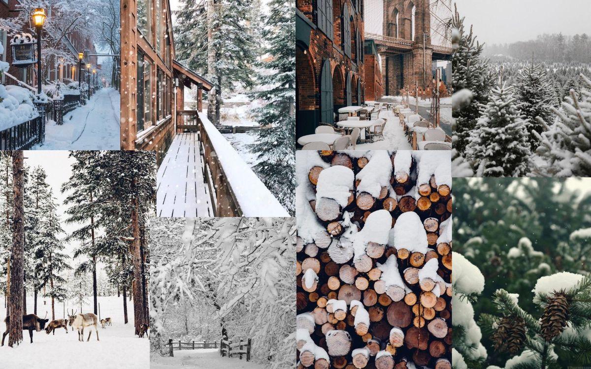Download Cozy Winter Day Aesthetic Wallpaper  Wallpaperscom