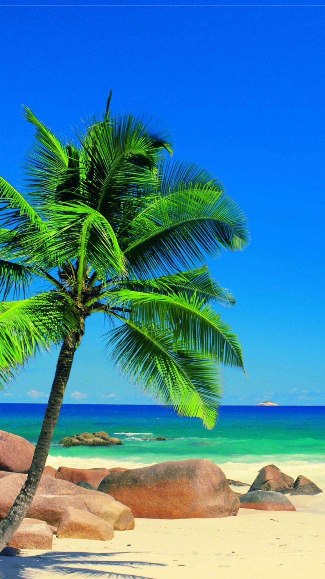 Tropical Beaches Wallpapers Top Free Tropical Beaches Backgrounds