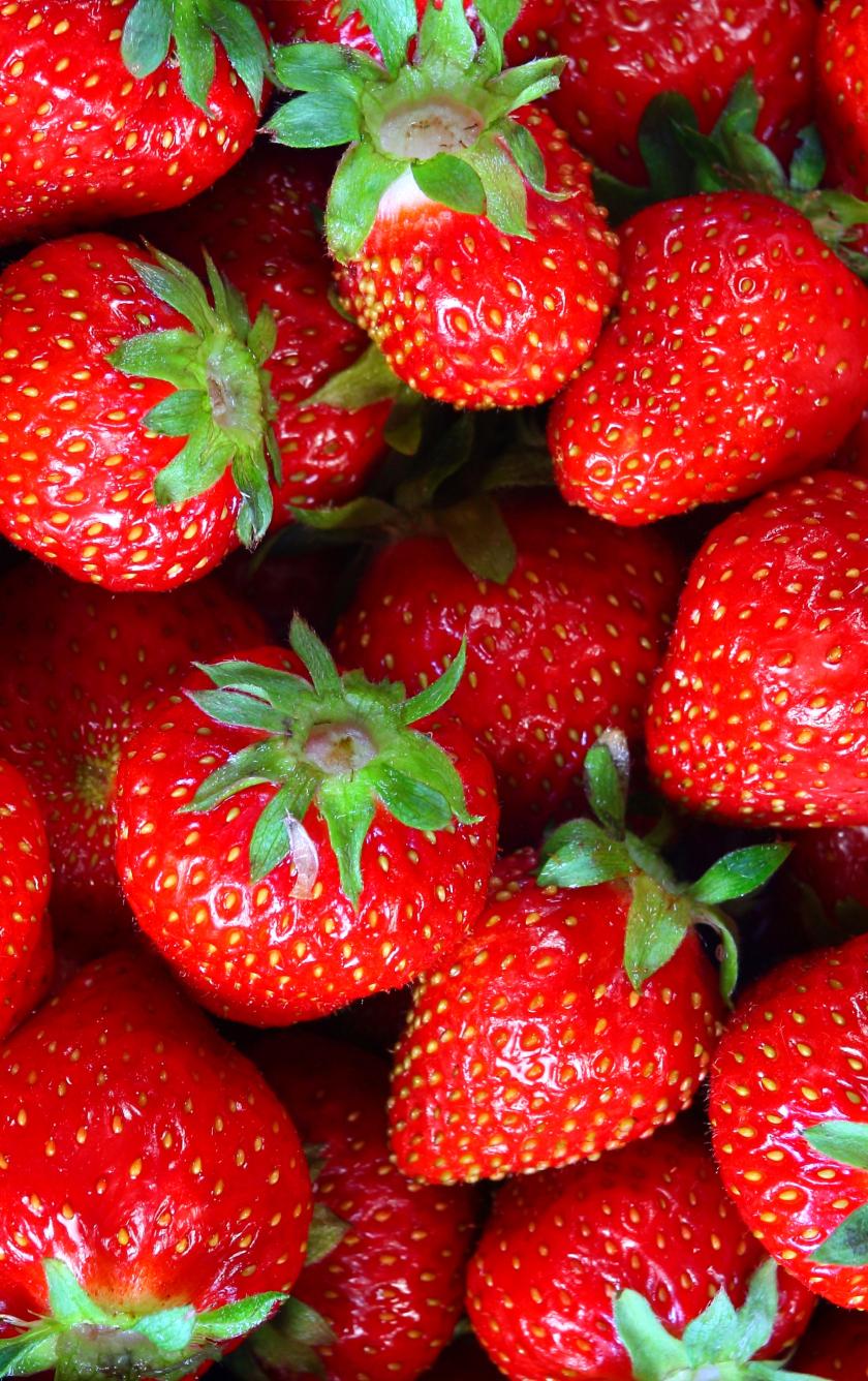 840x1336 Download fresh, fruit, strawberry 840x1336 wallpaper, iphone iphone 5s, iphone 5c, ipod touch, 840x1336 HD image, background, 21812