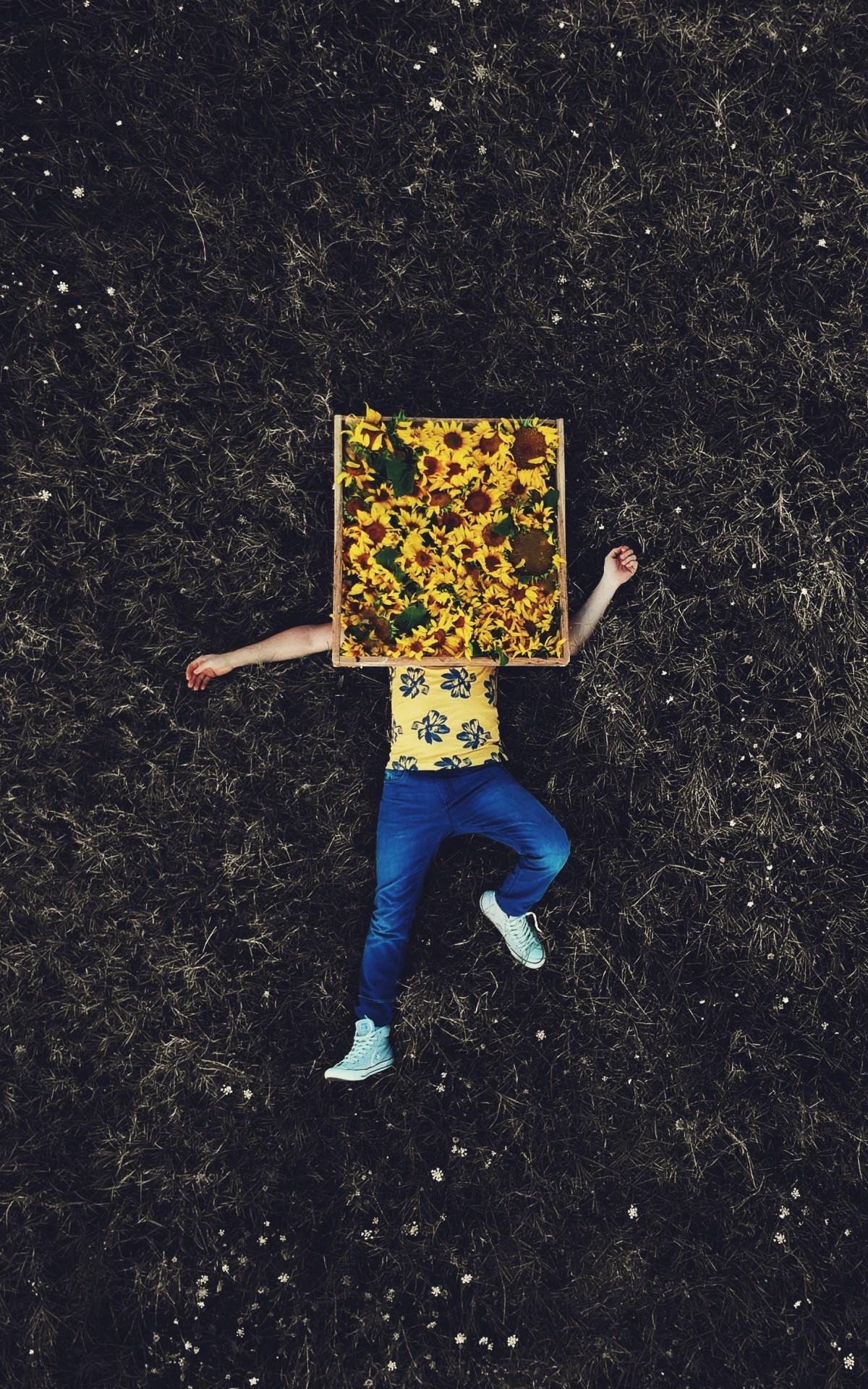 1200x1920 Download 1200x1920 Lonely Man, Lying Down, Earth, Sunflowers Wallpaper for Asus Transformer, Asus Nexus Amazon Kindle Fire HD 8.9