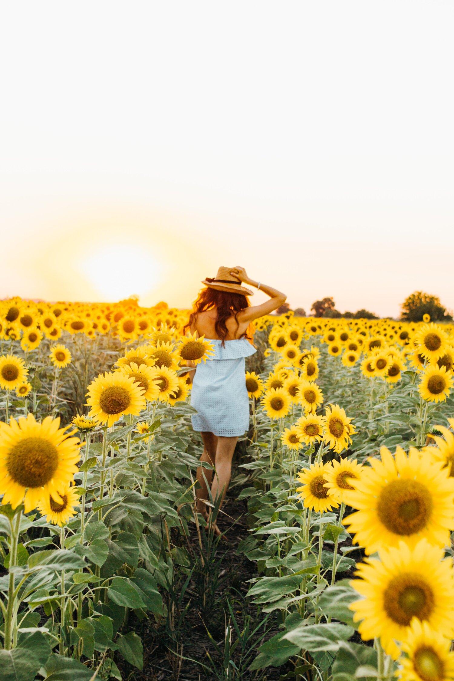 1500x2250 Sunflower Photo Sessions. Camdenton, Missouri. KB Photo & Design