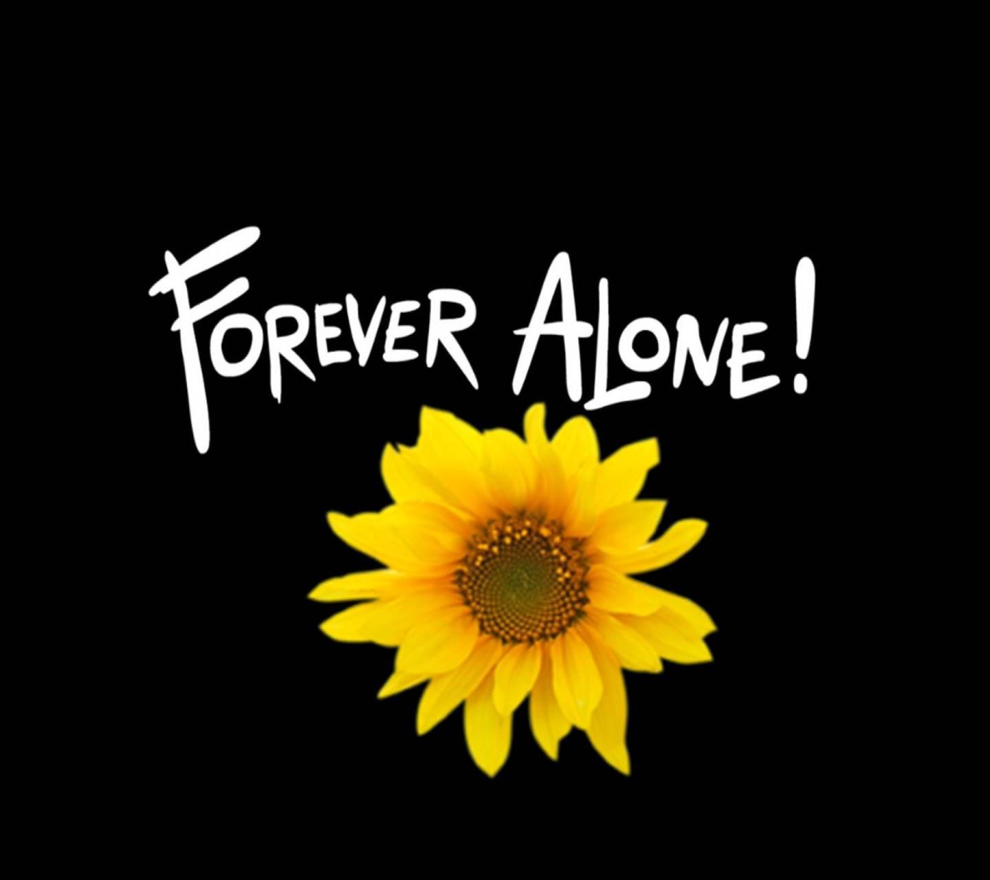 1440x1280 Forever Alone Wallpaper