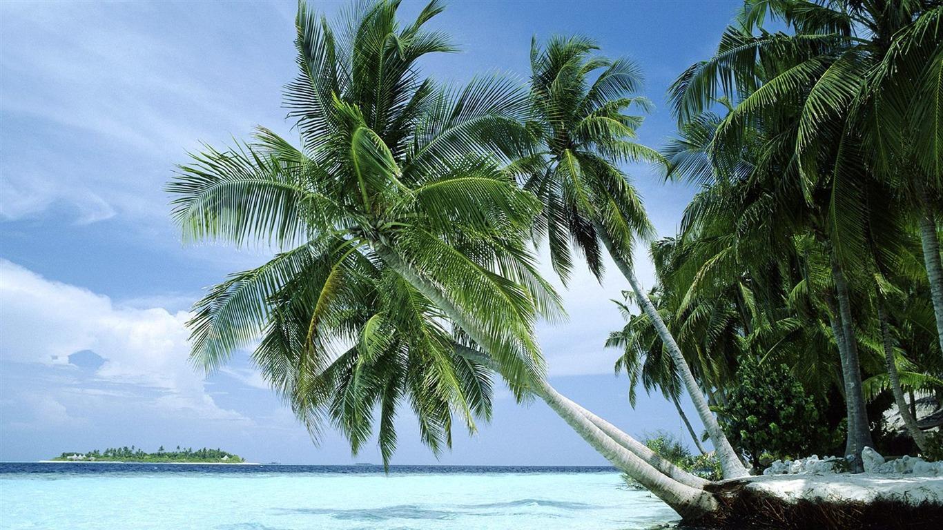 1366x768 South Pacific island wallpaper