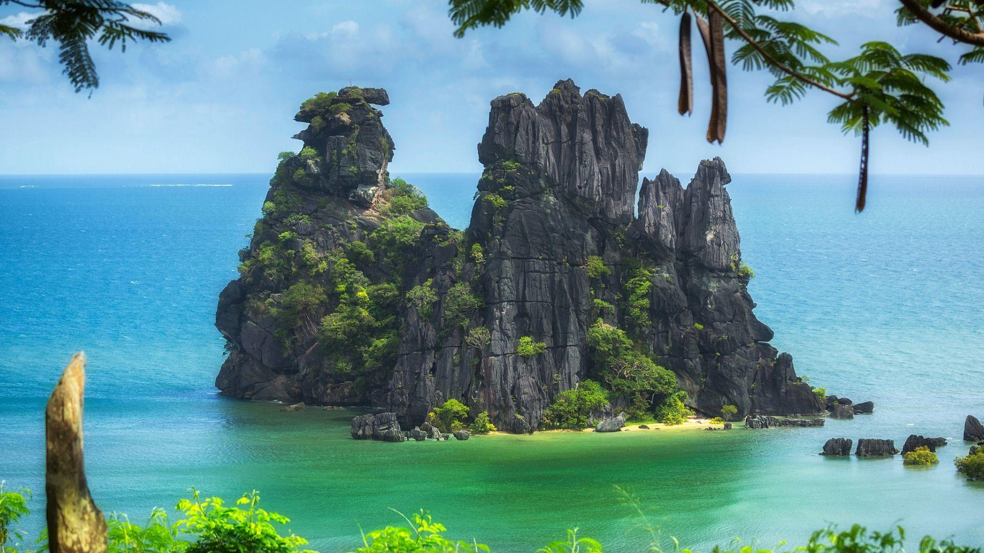 1920x1080 Download wallpaper island, trees, New Caledonia, rocks, branches, The Pacific ocean, section nature in resolu. Ocean wallpaper, Scenery, Beautiful places to visit