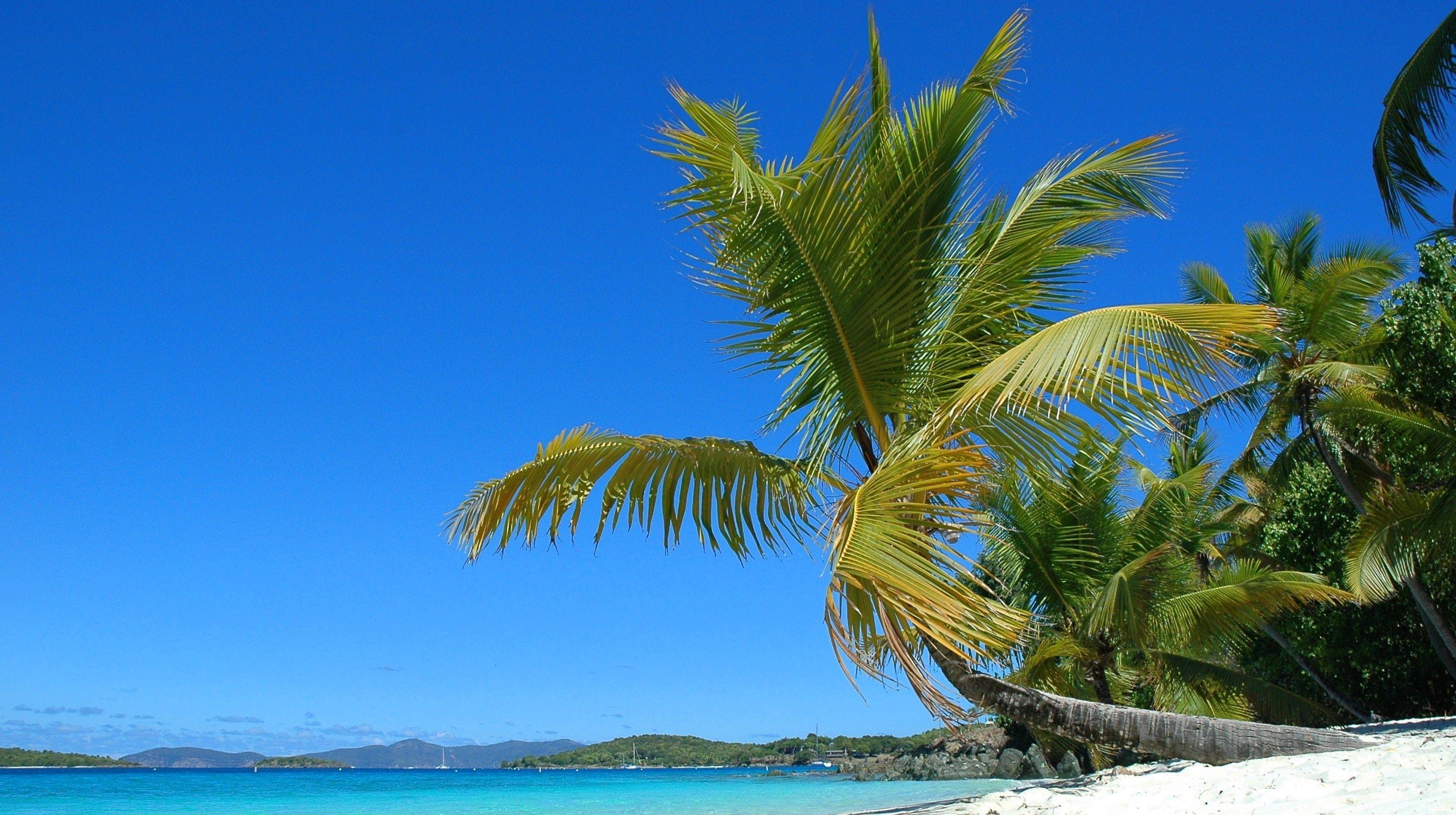 3008x1684 Solomon Islands Wallpaper