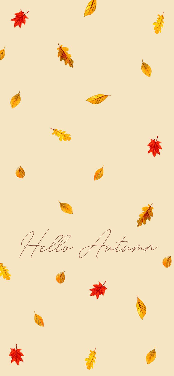 Colorful Fall Leaves iPhone Wallpaper