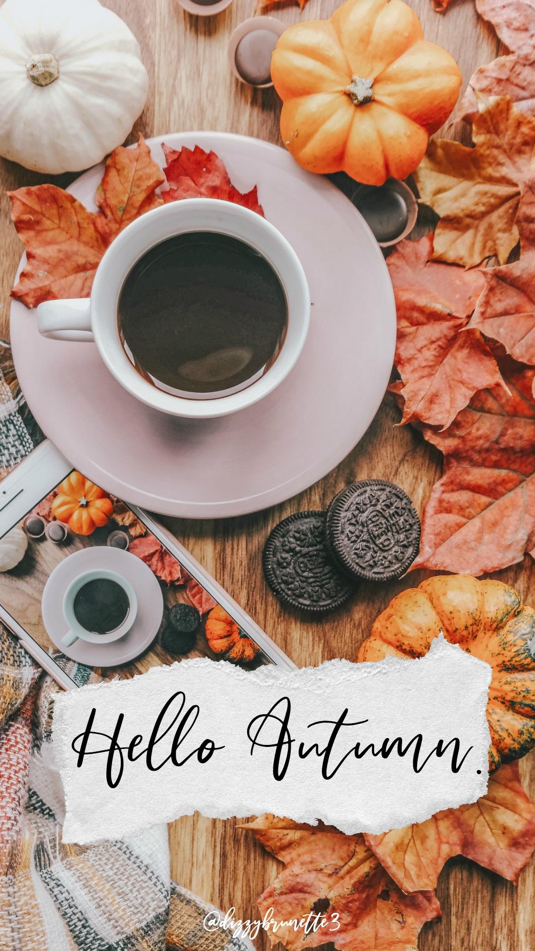 1080x1920 Free Amazing Fall Wallpaper Background For iPhone