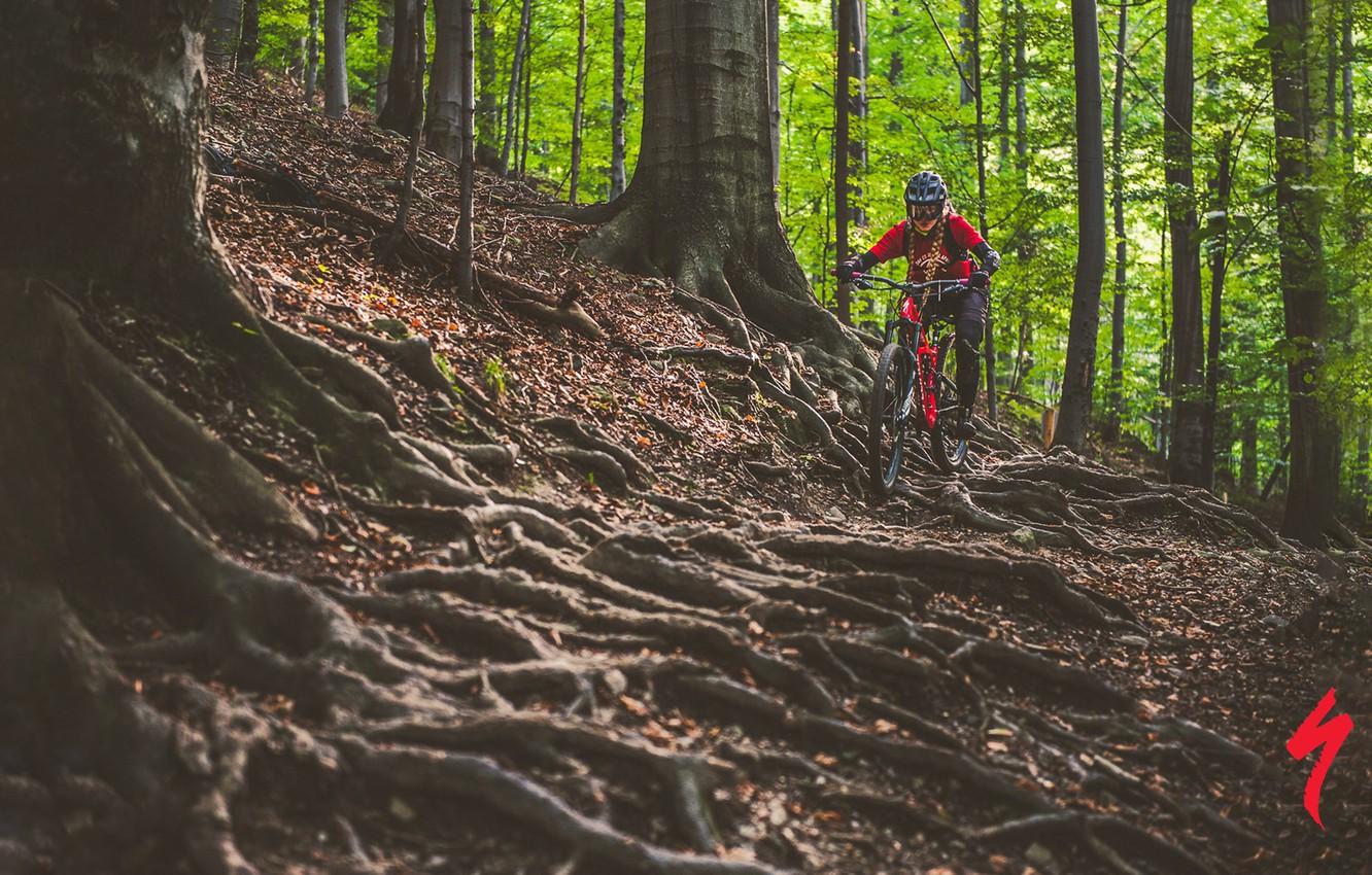 1332x850 Specialized Mountain Bike Wallpaper
