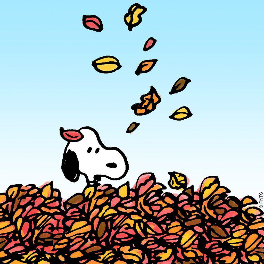 Peanuts Fall Wallpapers - Top Free Peanuts Fall Backgrounds -  WallpaperAccess