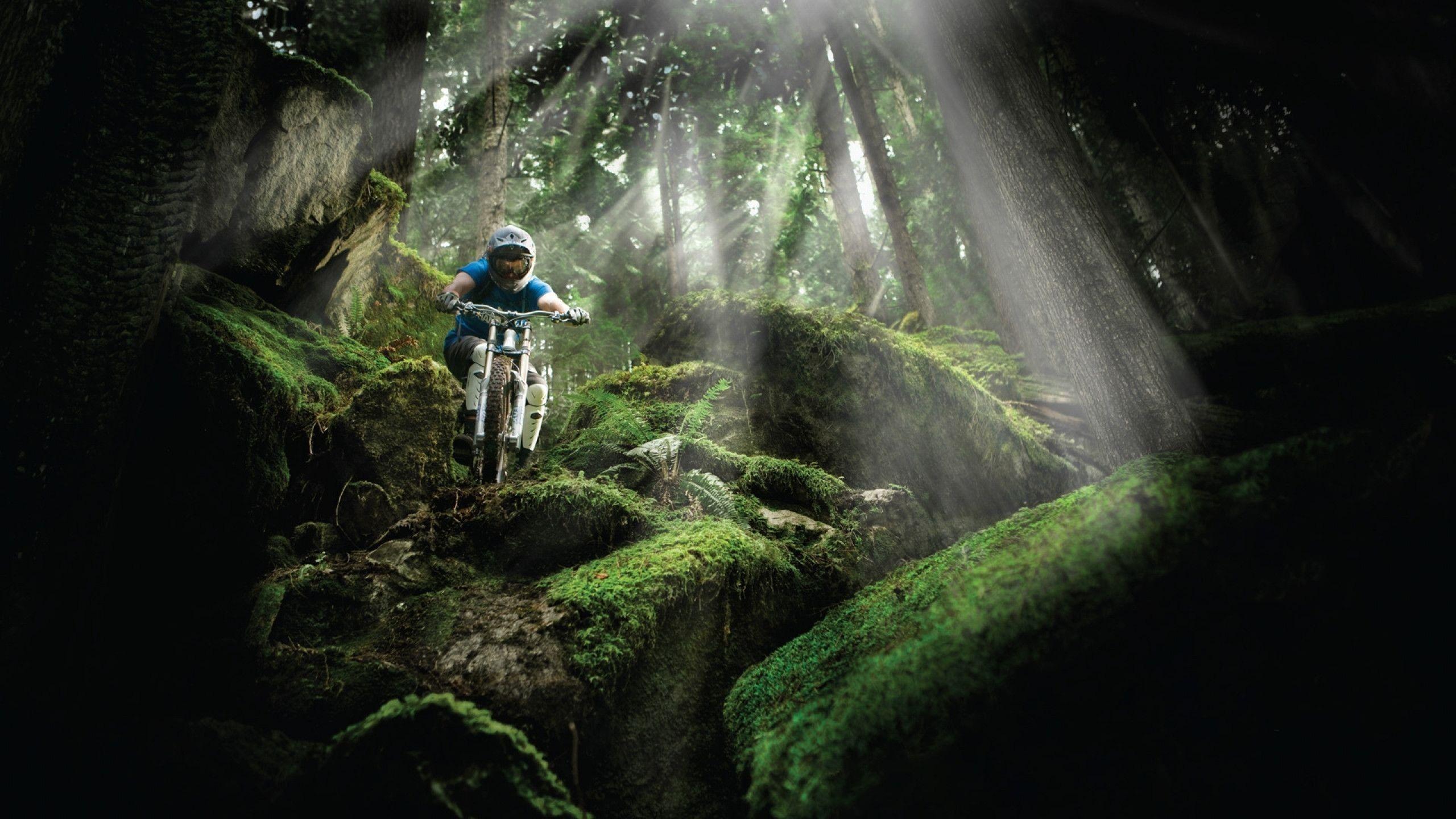 2560x1440 Beautiful Downhill Mountain Bike Wallpaper HD. Vtt descente, Vélo de montagne, Reunion island
